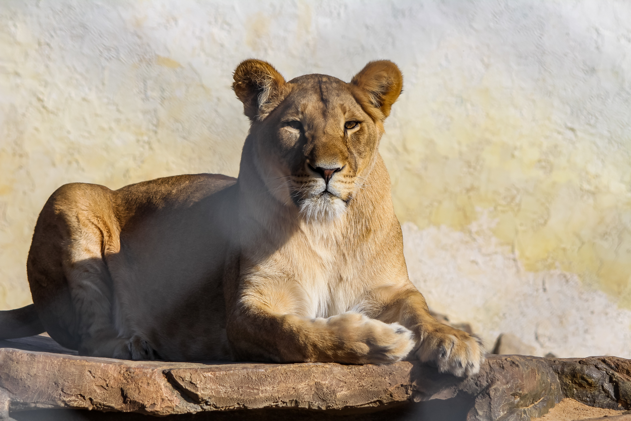 Экзотик Парк. Фотограф Сонкина Татьяна