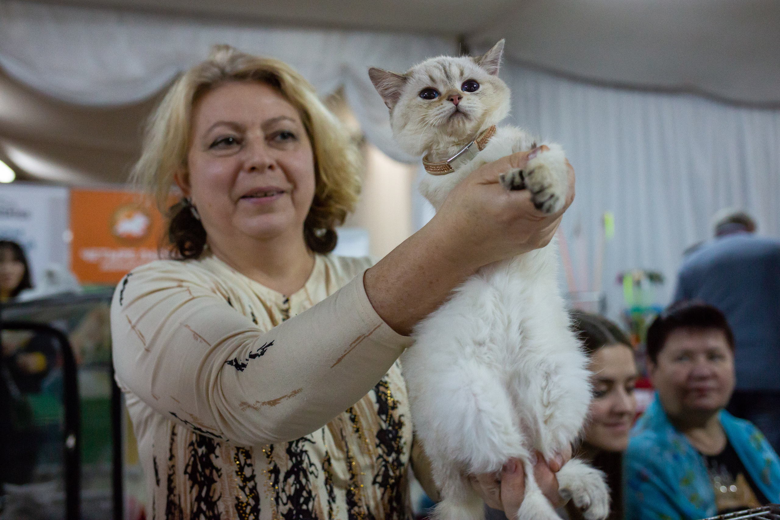 Felis 2018. Фотограф Сонкина Татьяна