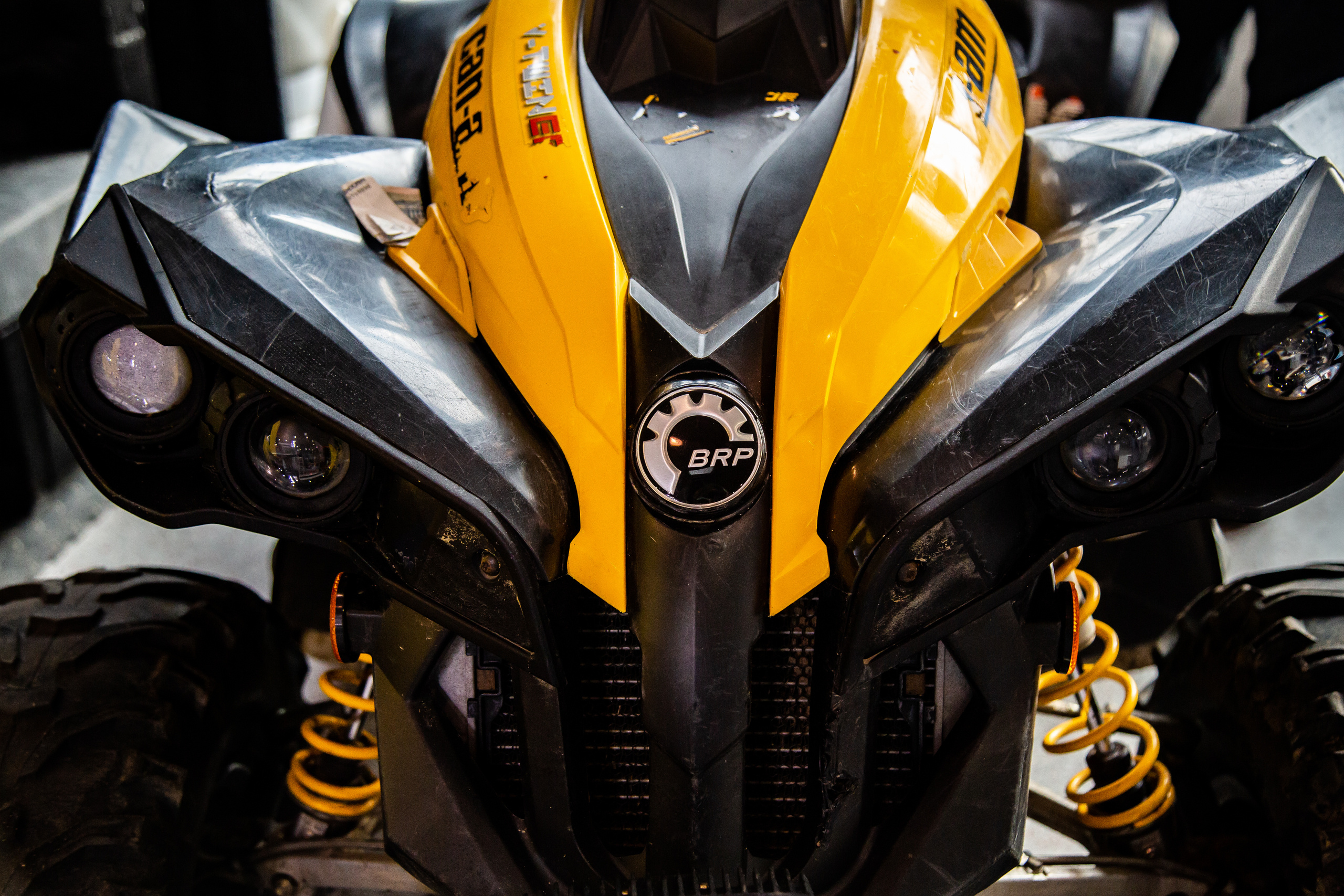 Выставка "Мотозима 2018". Фотограф Сонкина Татьяна