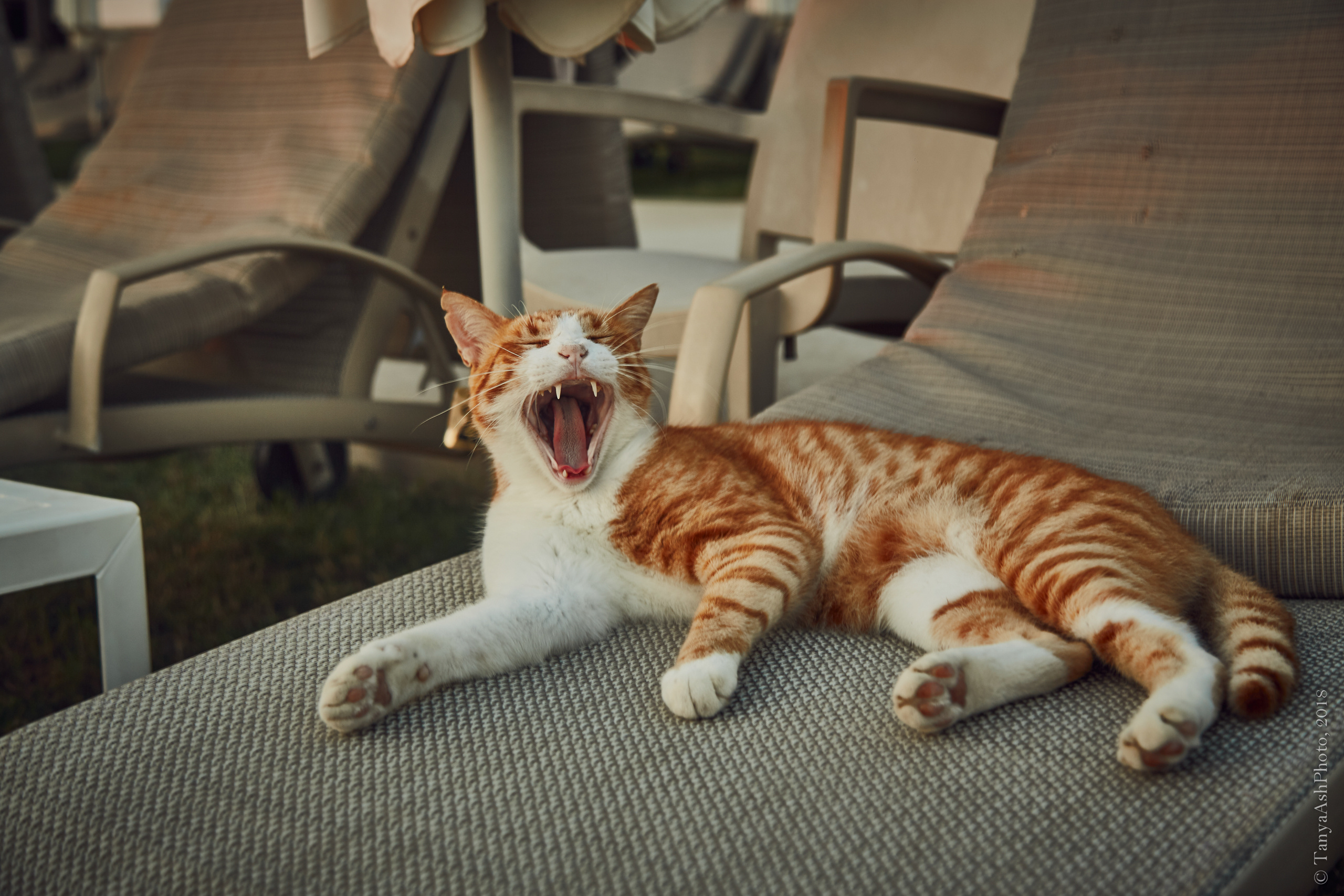 Фотографии Кипра и Пафоса. Photographer Sonkina Tatiana (Tanya Ash)