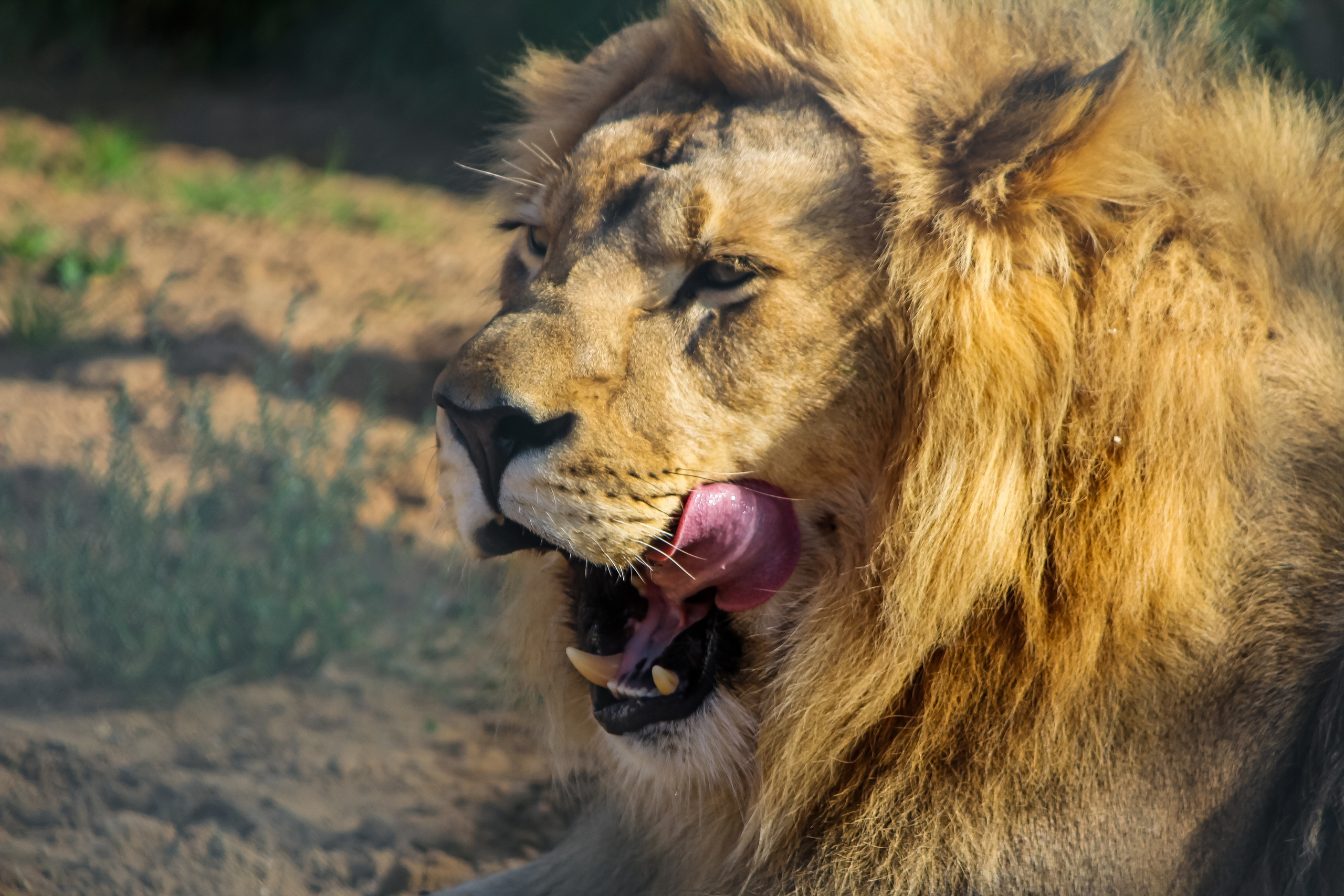 Экзотик Парк. Фотограф Сонкина Татьяна
