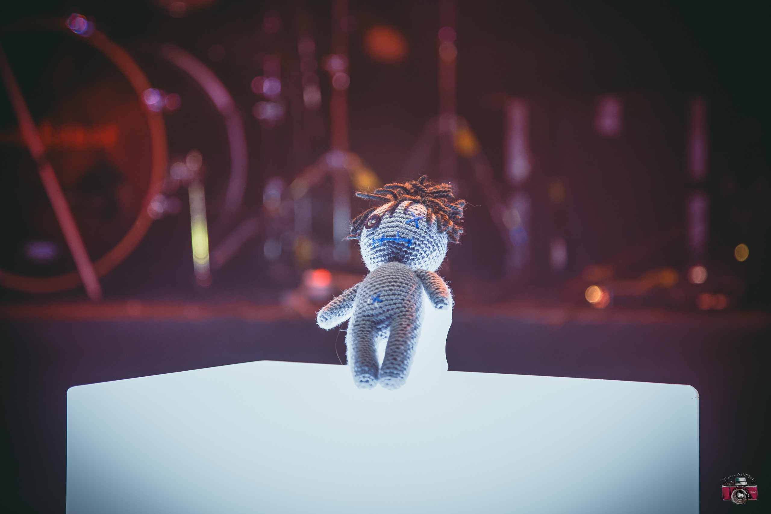 Презентация Викинг Саги. Фотограф Сонкина Татьяна