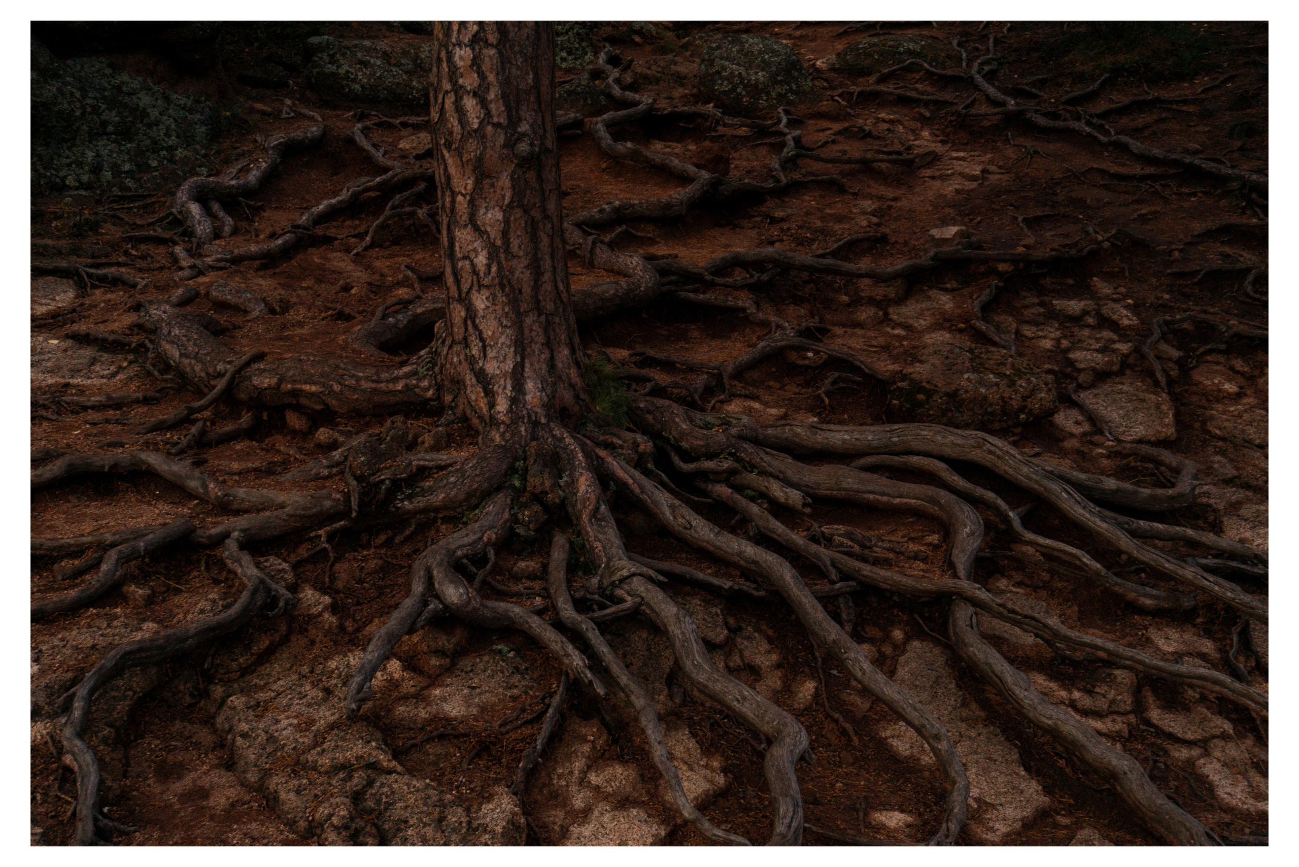 28.08.2025 | Красноярск. Kuznetsov | Фотограф в Красноярске