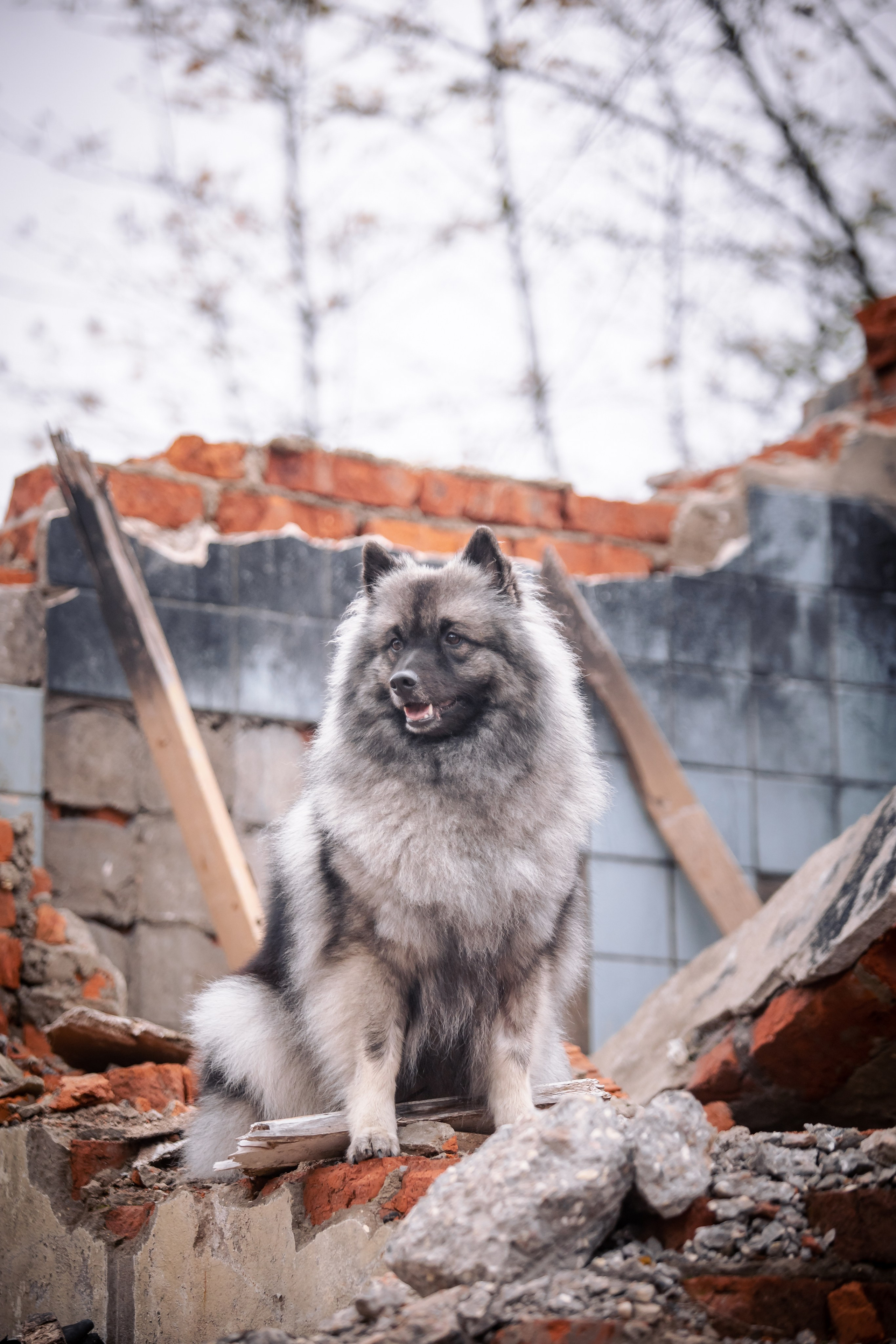 Фотосессии. Фотограф Ирина Астор