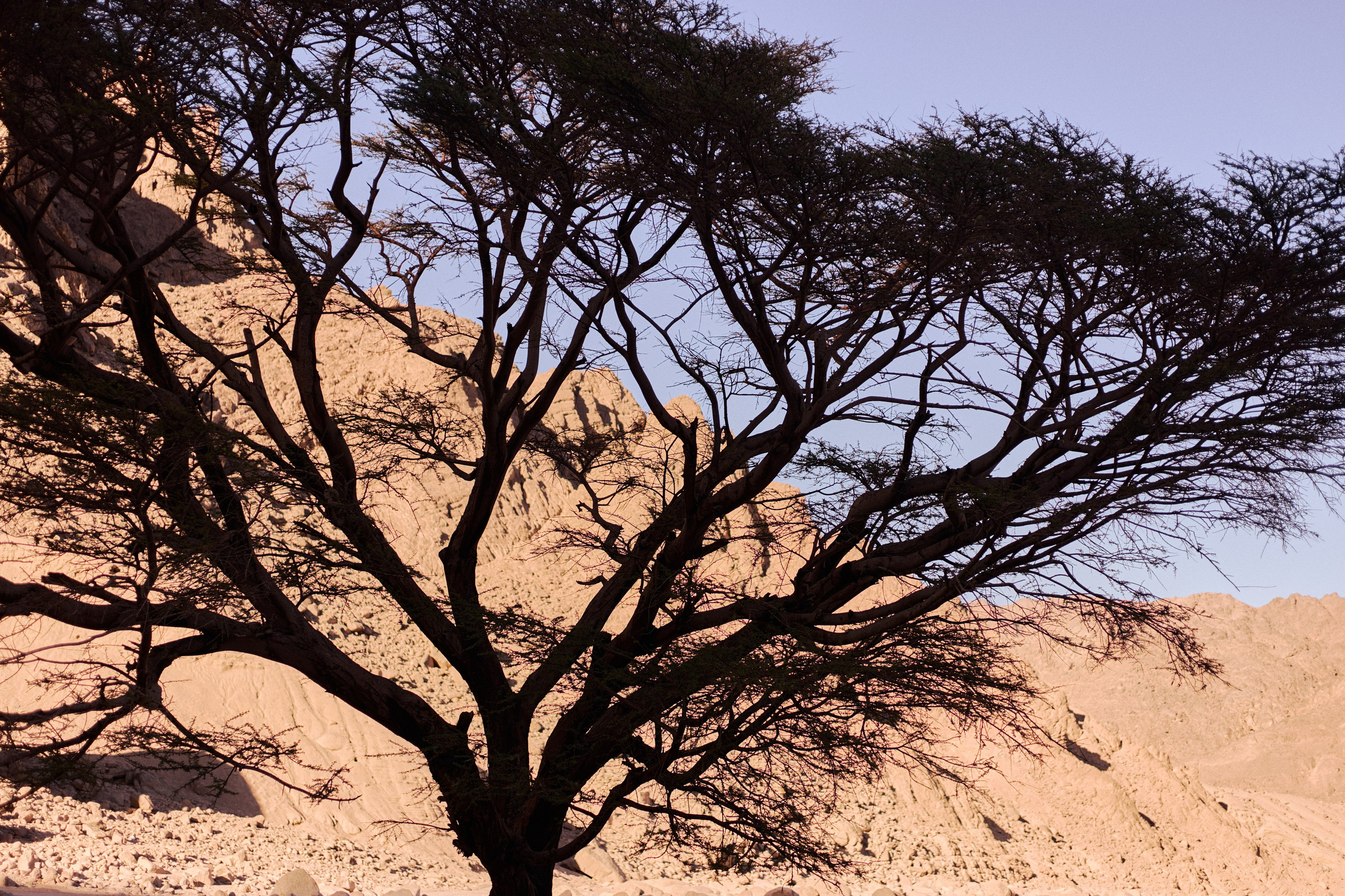 Другое 4. Jorgis — фотограф в Хургаде / обучение фотографии