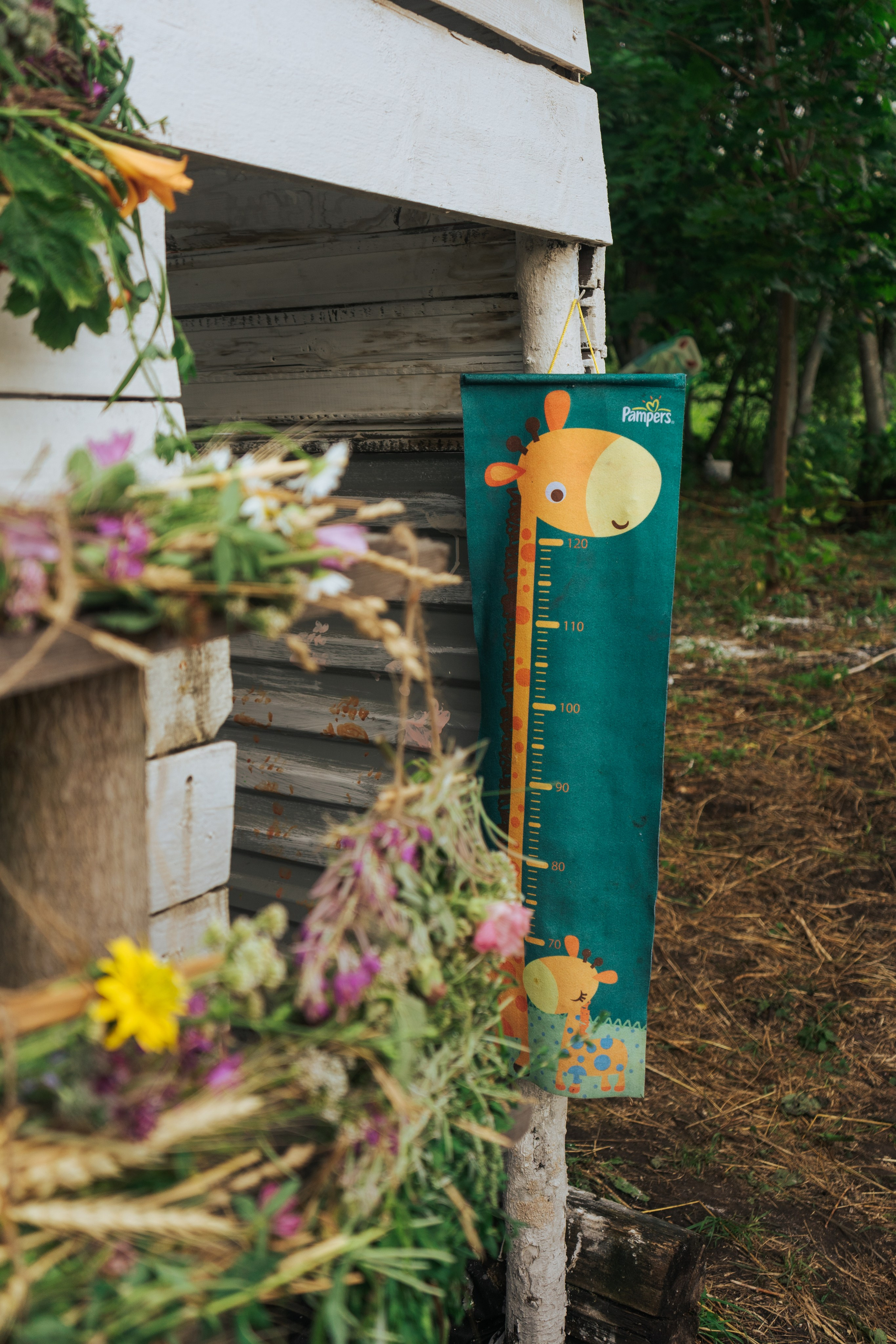 Ретрит от т-центра Псайторий 2024. Портретный фотограф Нижний Новгород