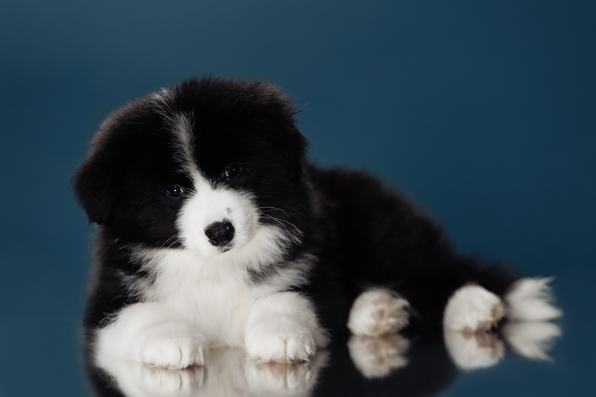 Синева. О нас