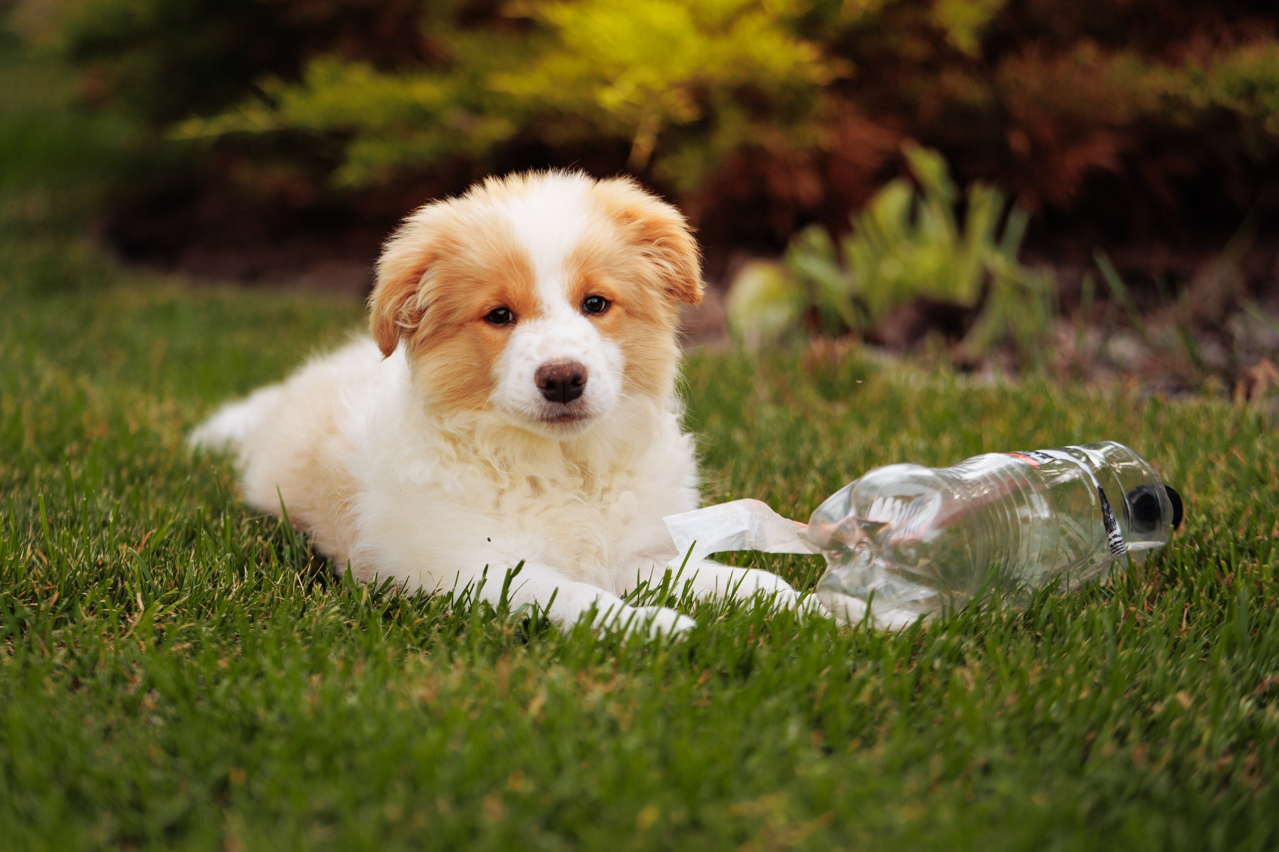 СОлнечные. О нас