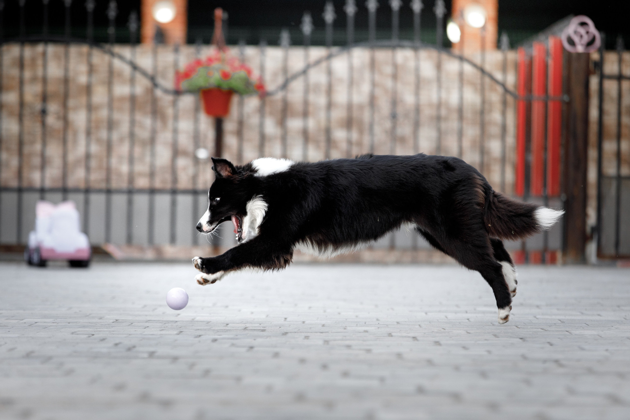 Болтовня в саду. О нас