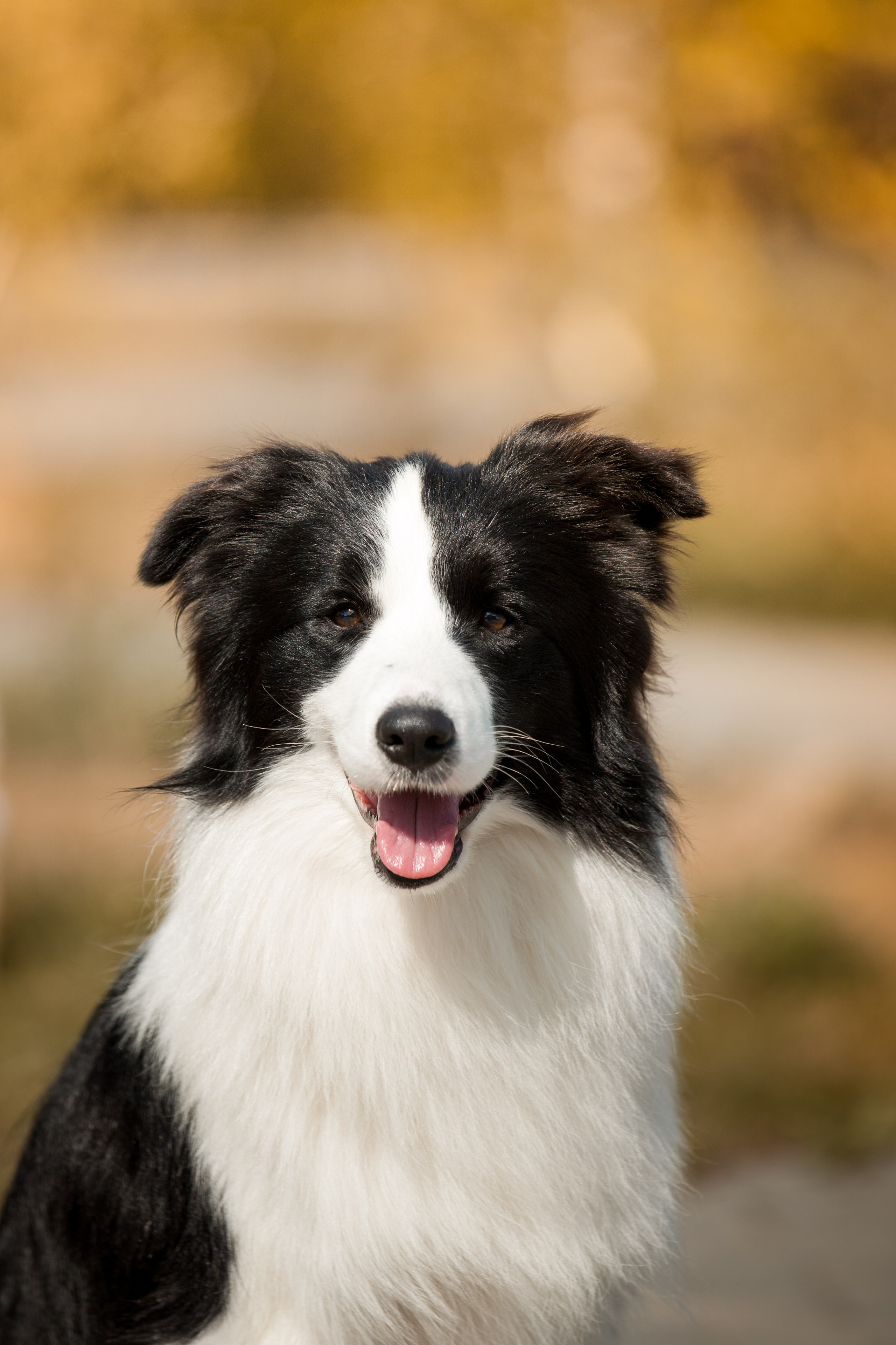 Это было в Новотроицке, было в 19. О нас