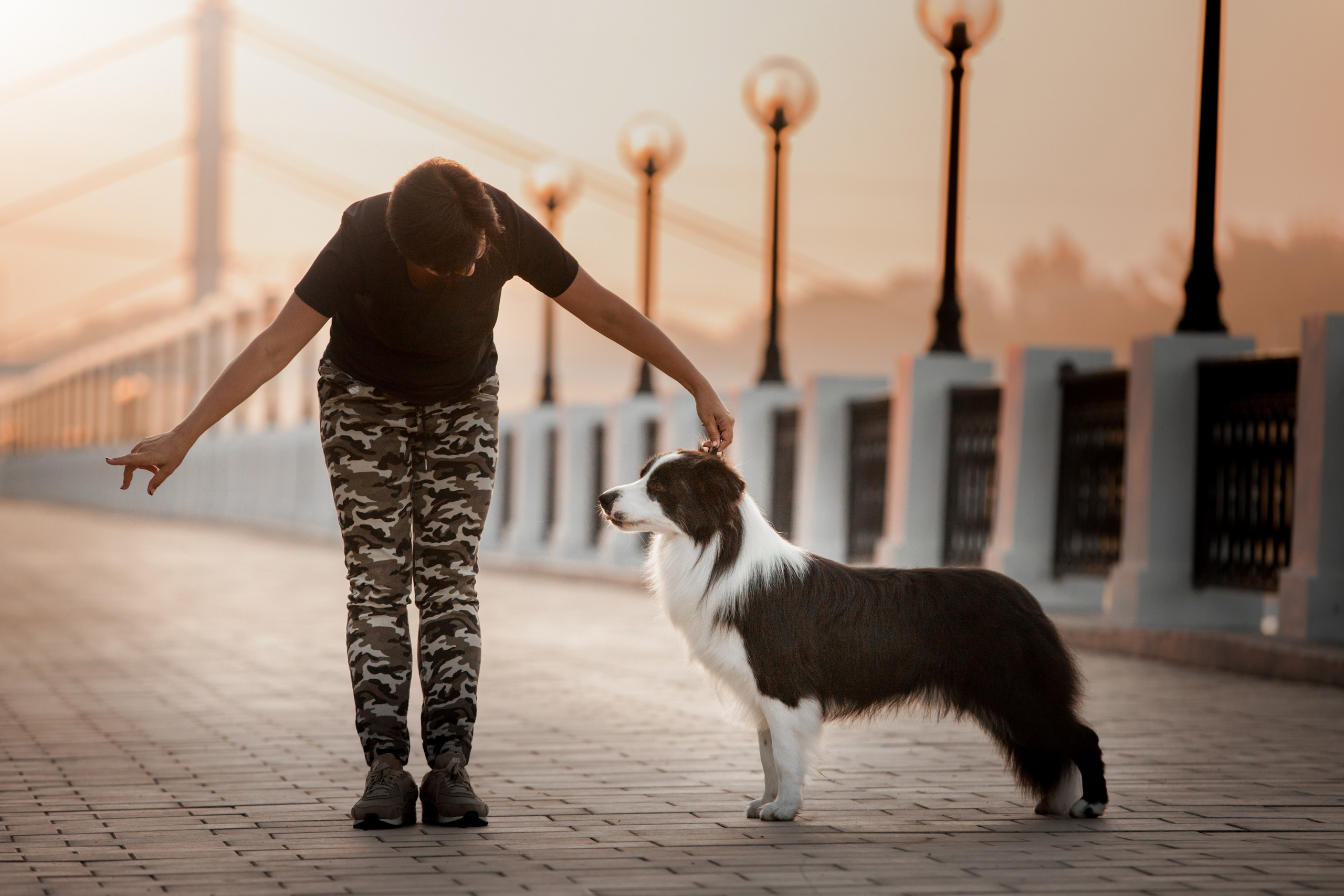 Сочный рассвет, на который решились. О нас