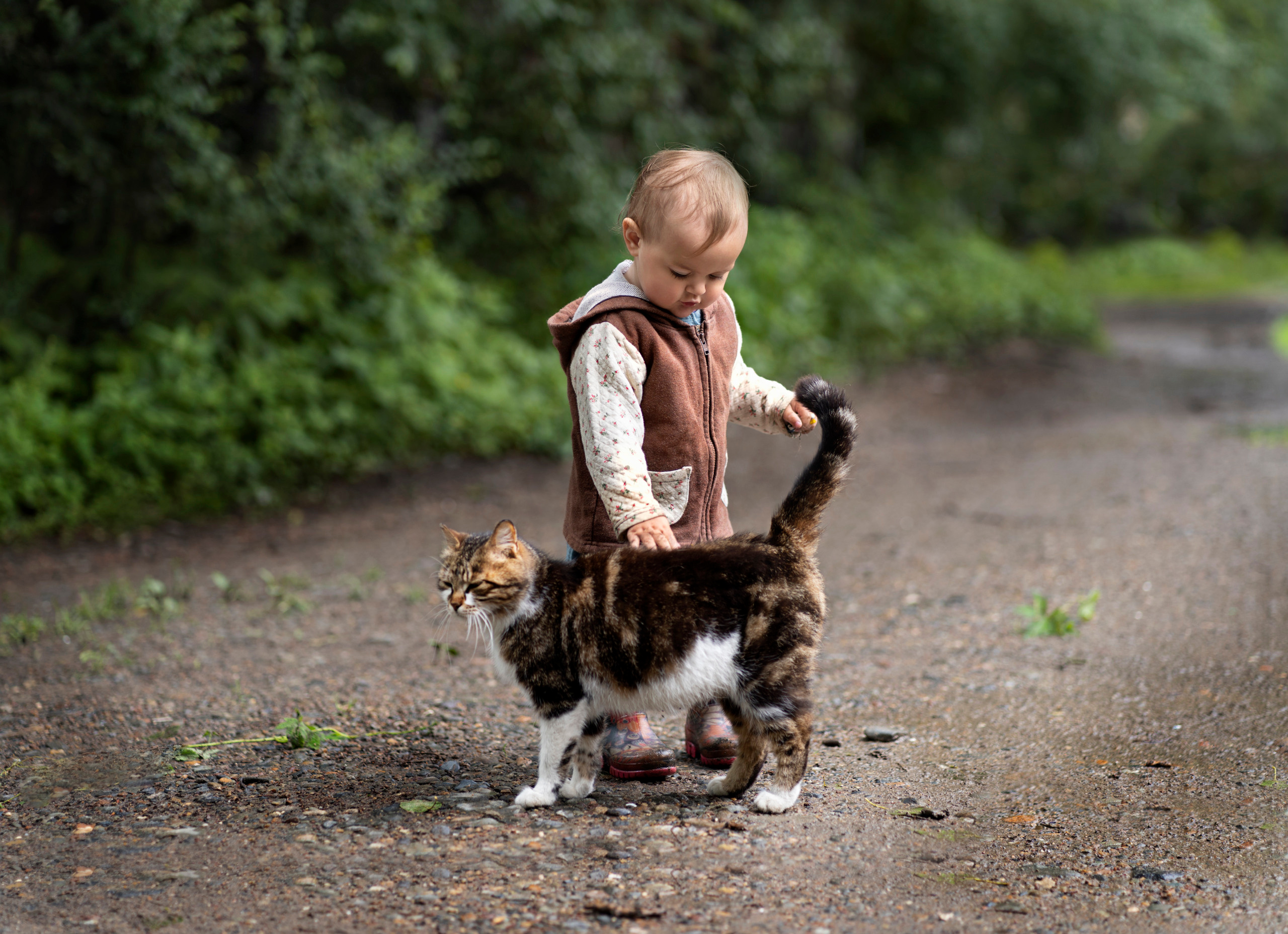 Детская фотосъемка. Семейный и детский фотограф в Хабаровске Ковалева Таисия