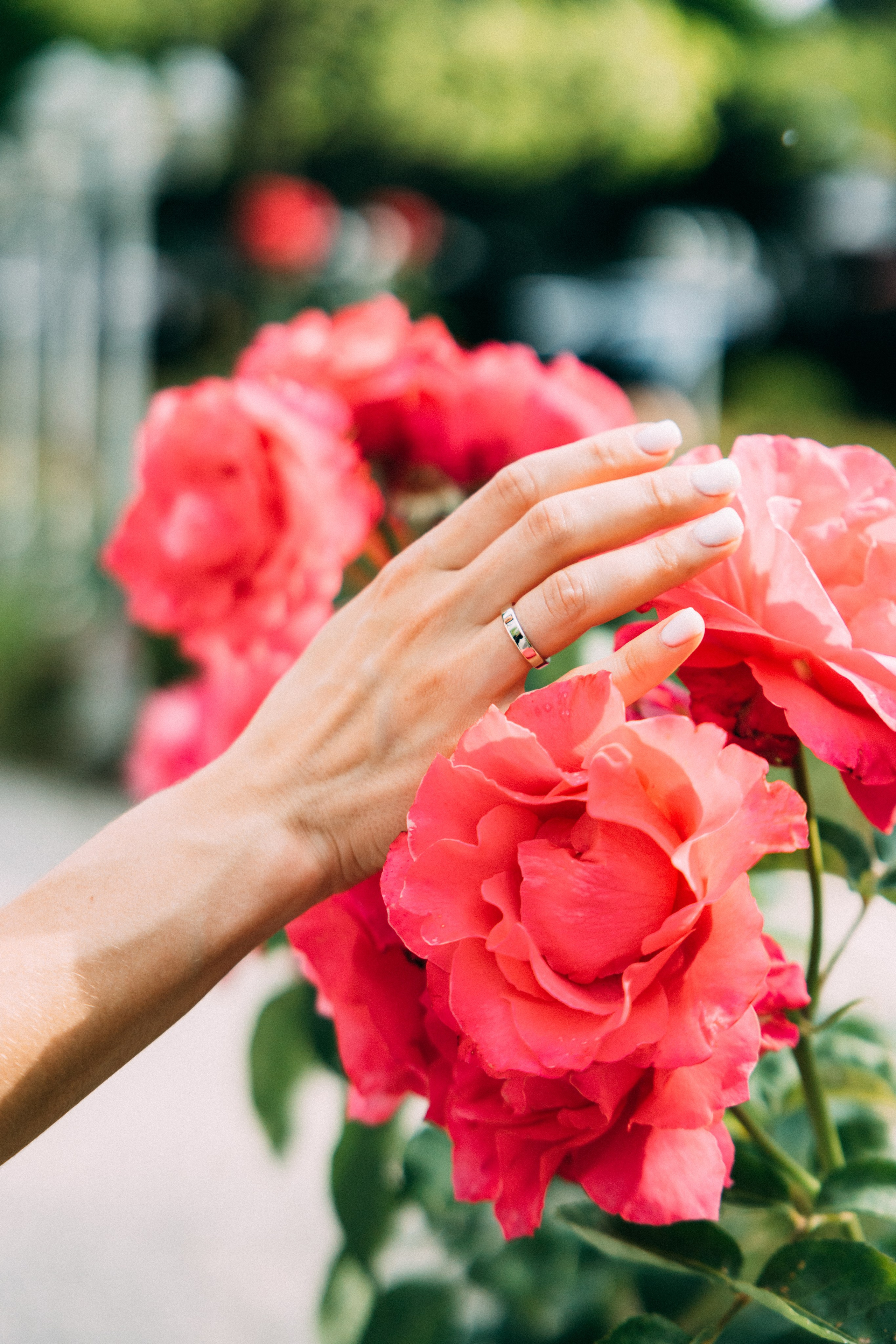 M&K. Свадебный фотограф Краснодар