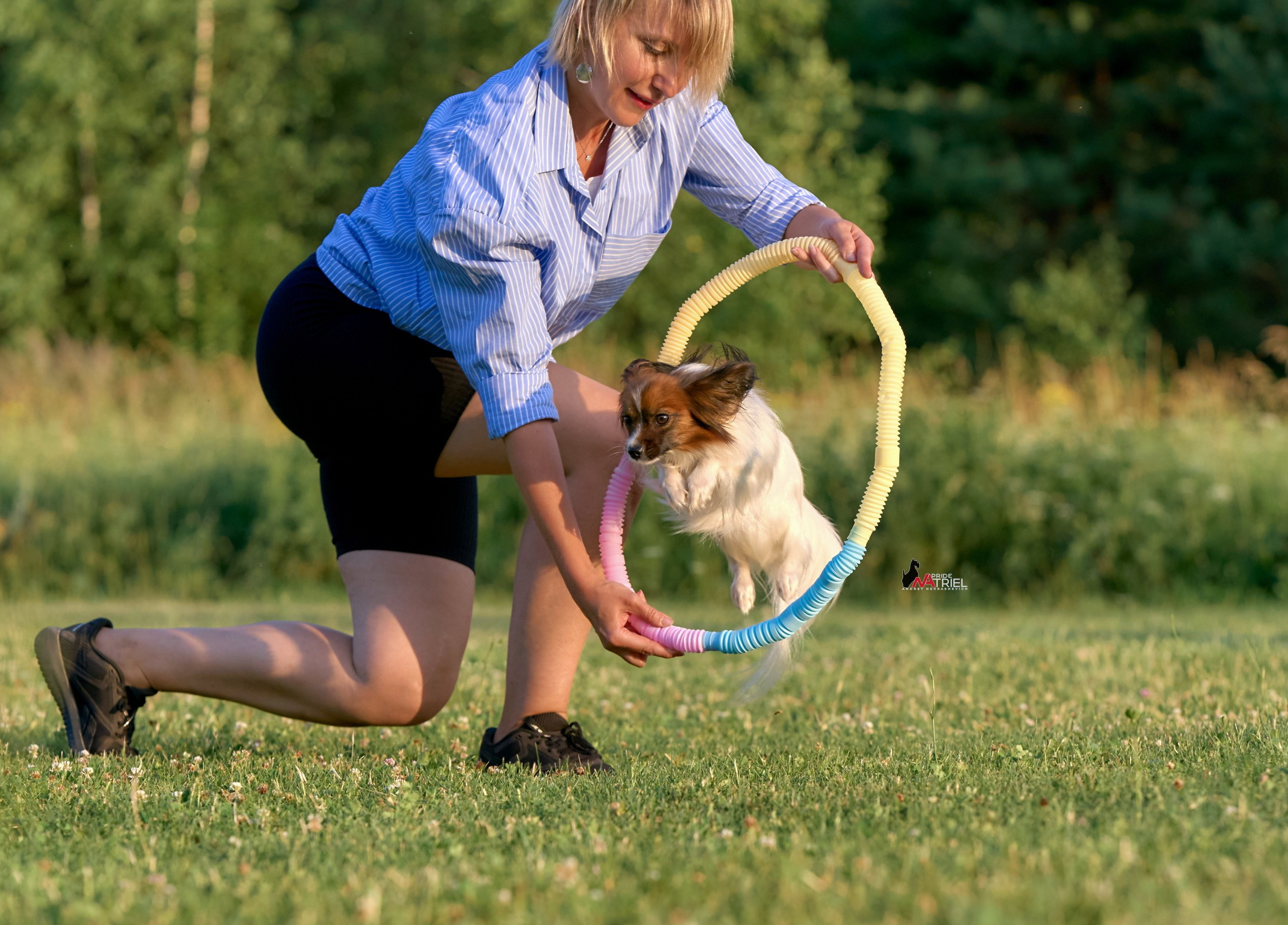 Обидиенс и танцы с собаками — галерея NATRIEL