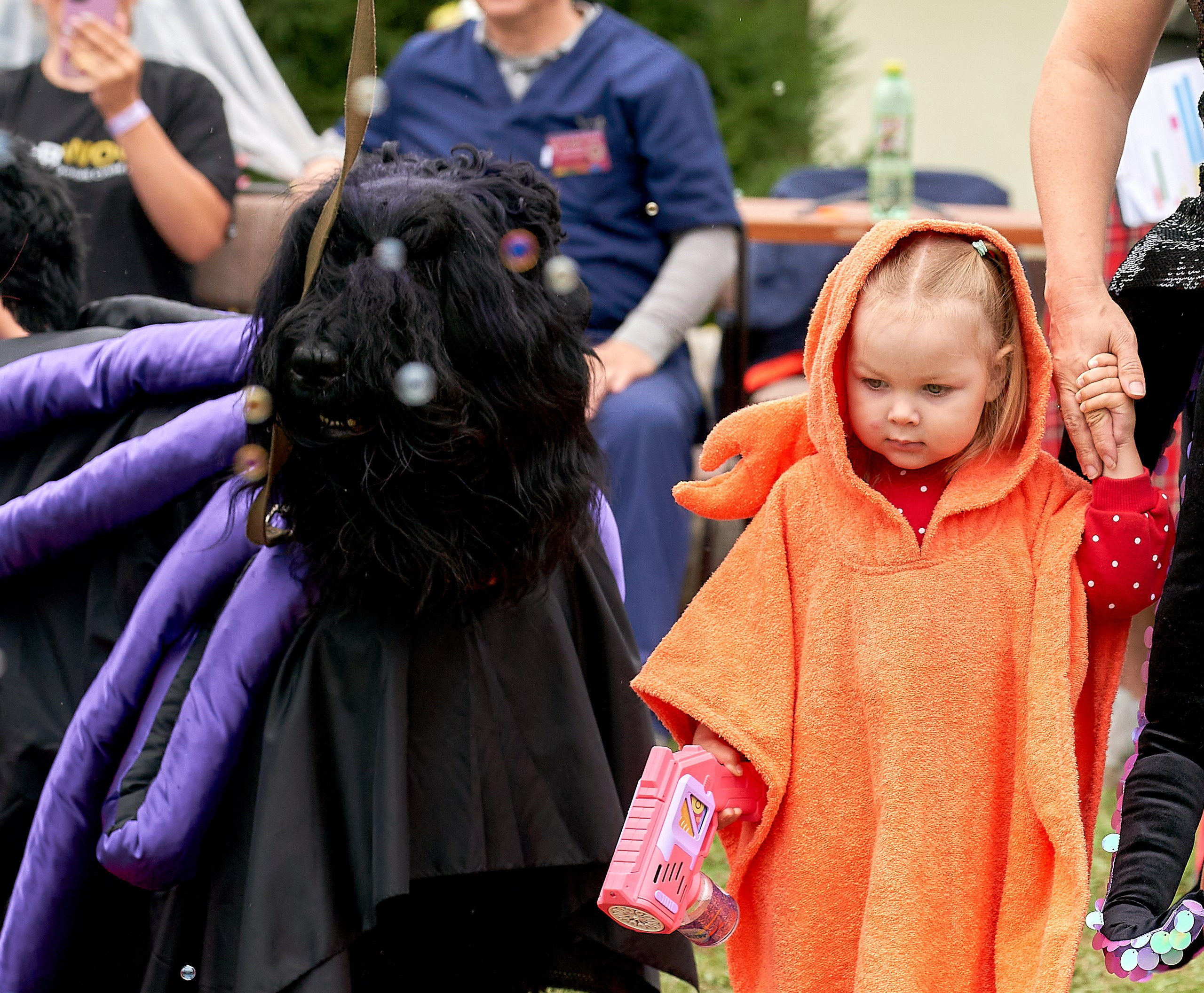 Мероприятия с собаками — галерея NATRIEL