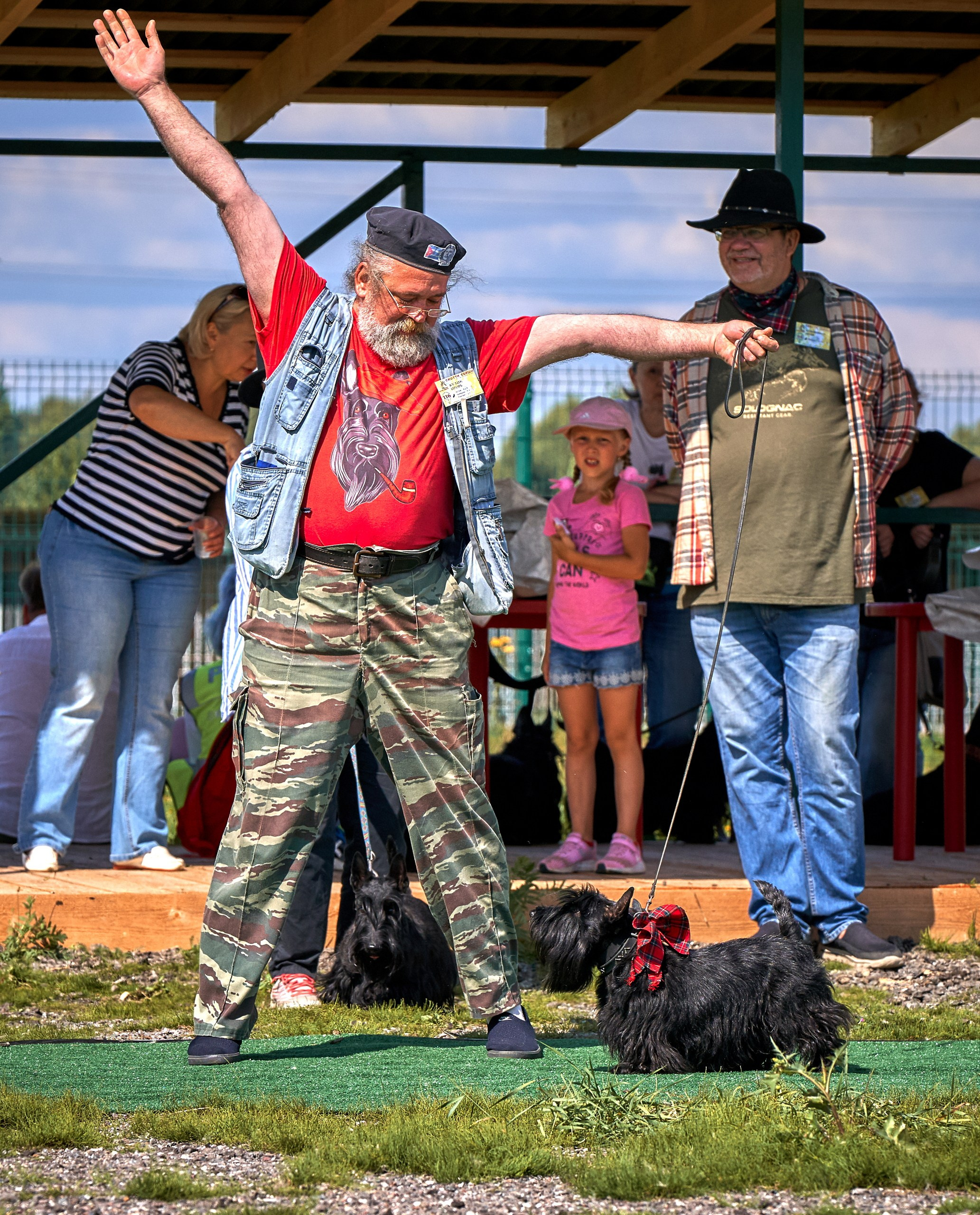 Мероприятия с собаками — галерея NATRIEL