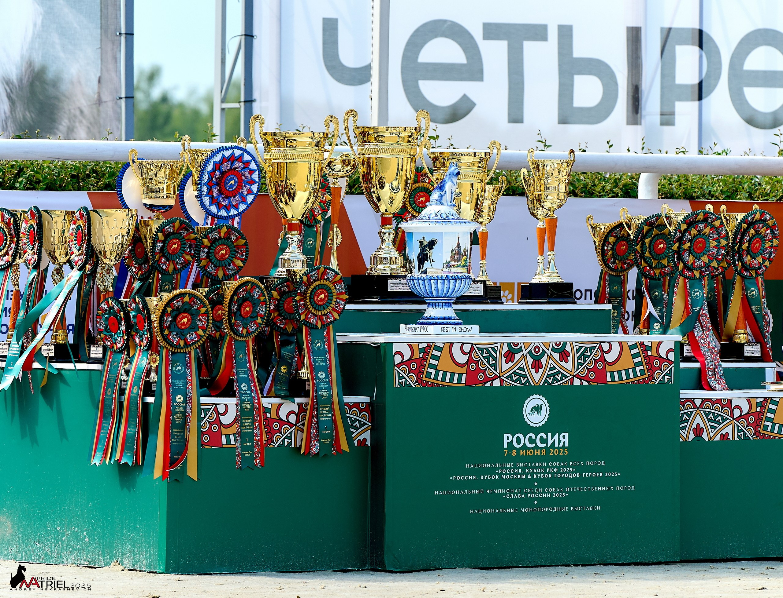 Выставка собак РОССИЯ — 2025
