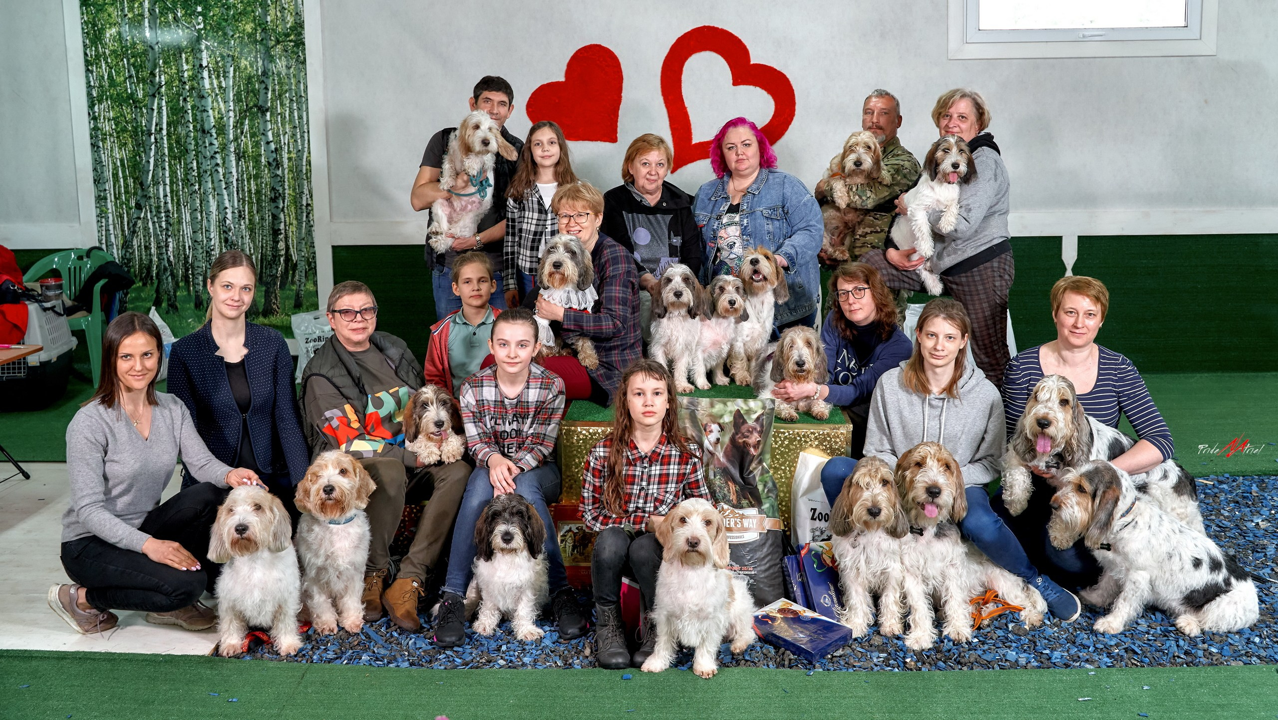 Мероприятия с собаками — галерея NATRIEL