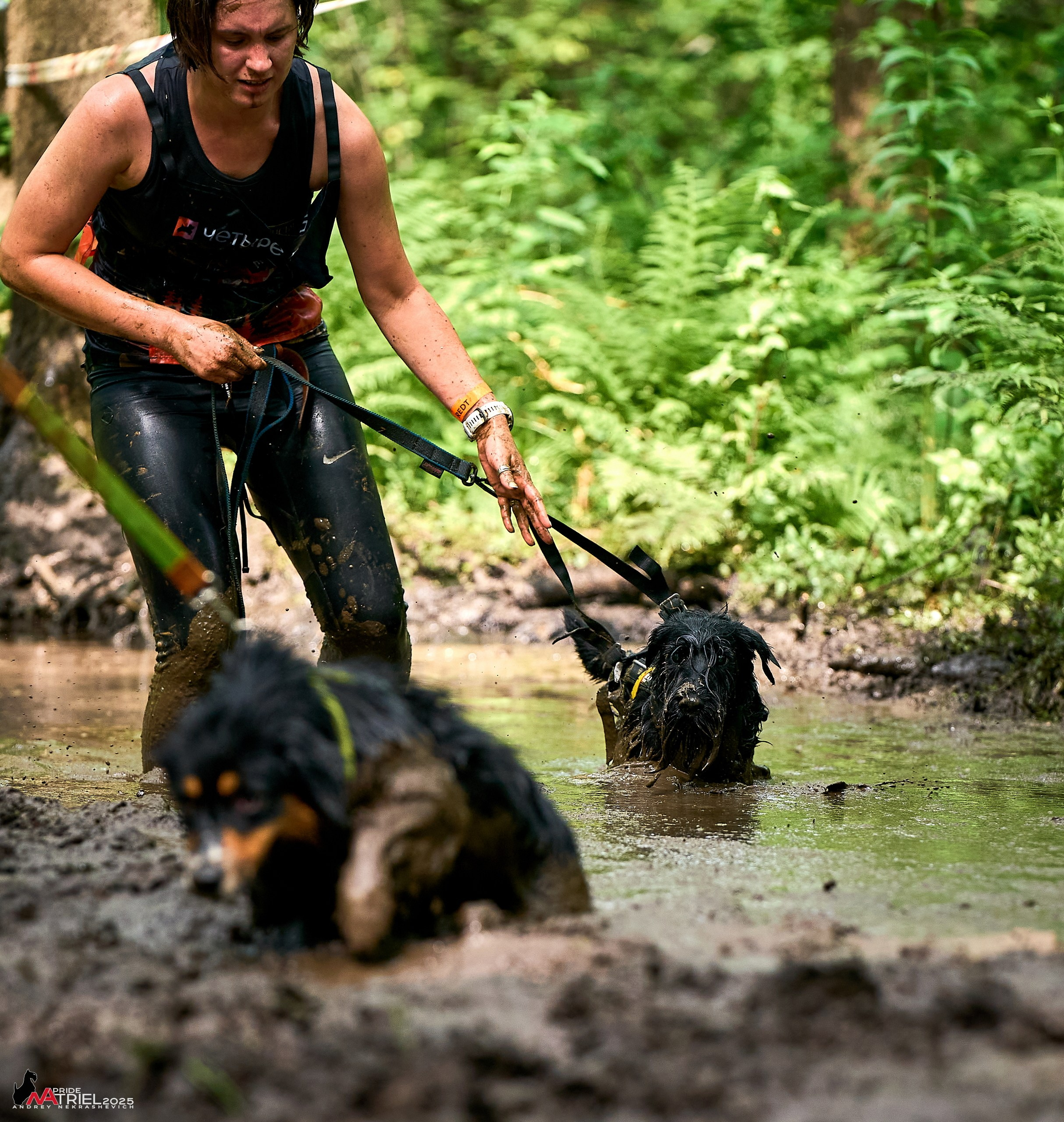 Russian Extreme Dog Trail — 2025
