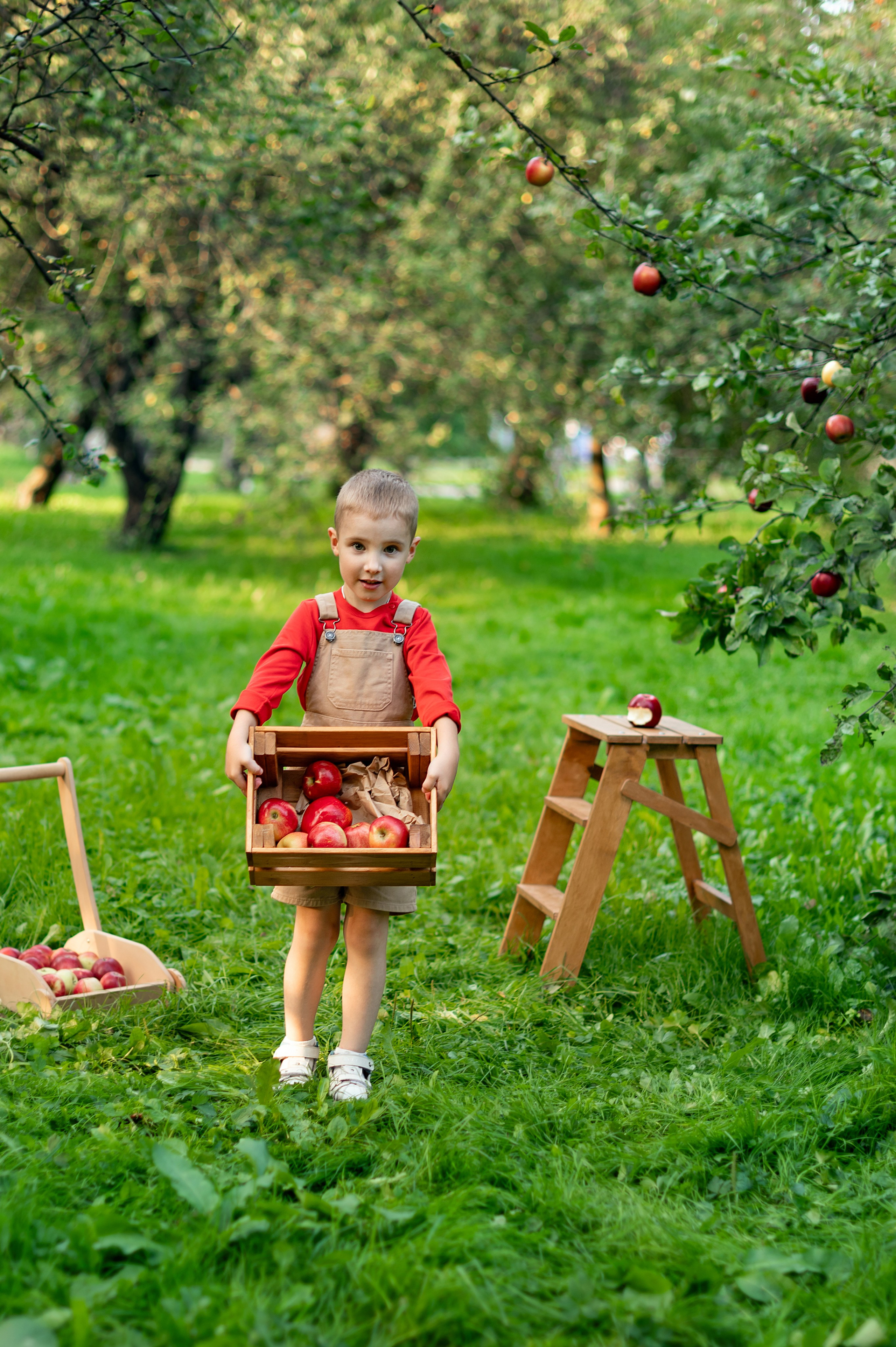Яблоки. Детский и семейный фотограф г. Москва Оксана Катаджи