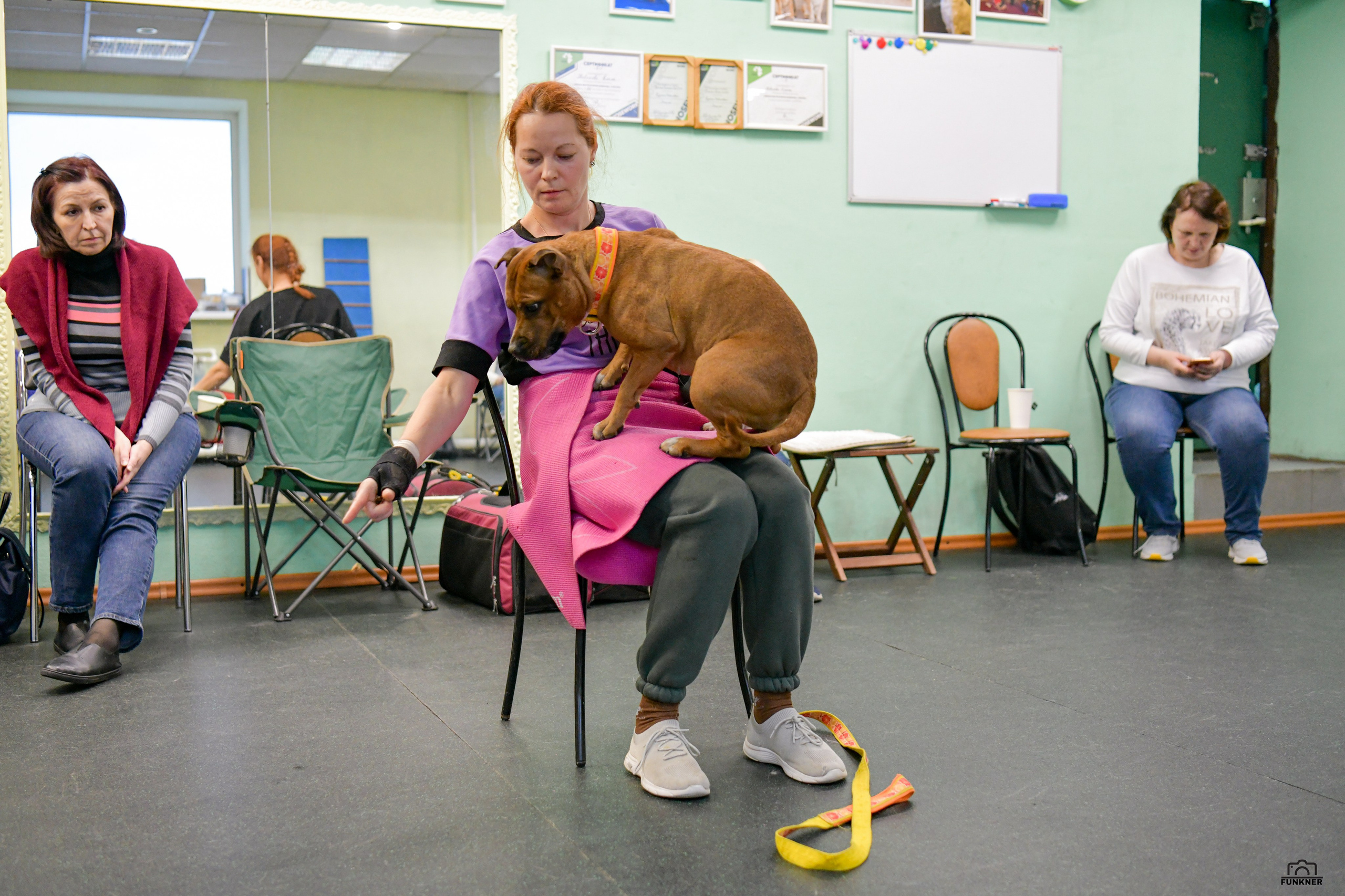Кинологический клуб «Бодрый хвост». Свой взгляд через объектив