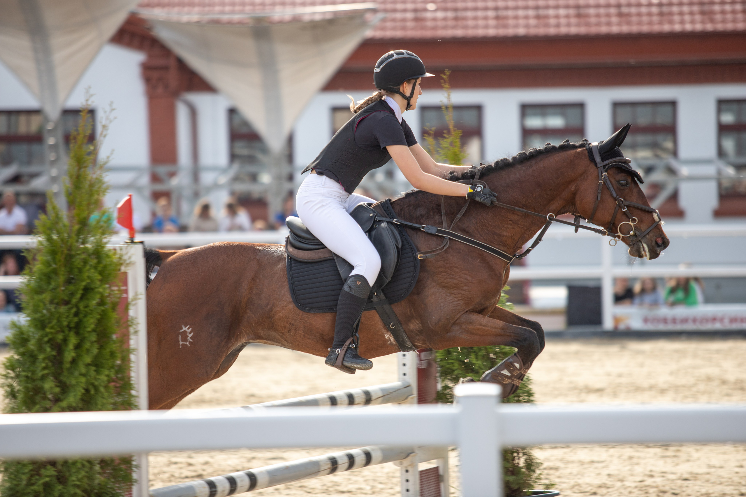 Соревнования. Фотосессии с лошадьми в Москве и МО