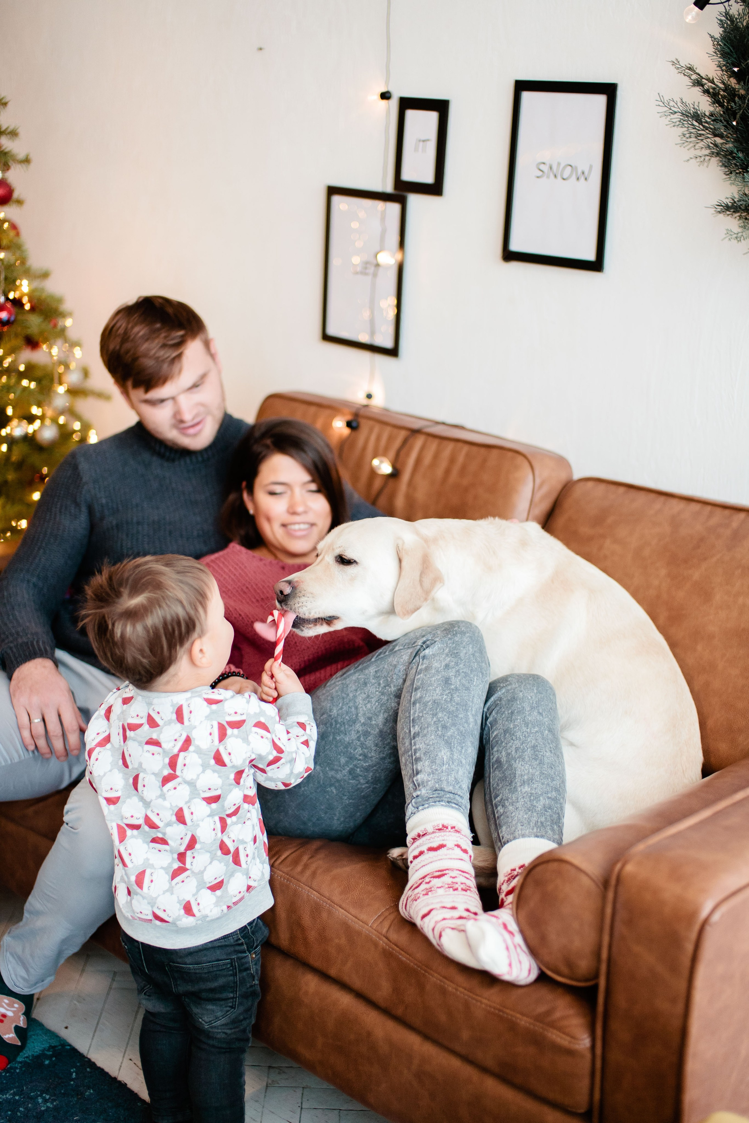 Семейная Новогодняя фотосессия в студии, фотограф в Москве