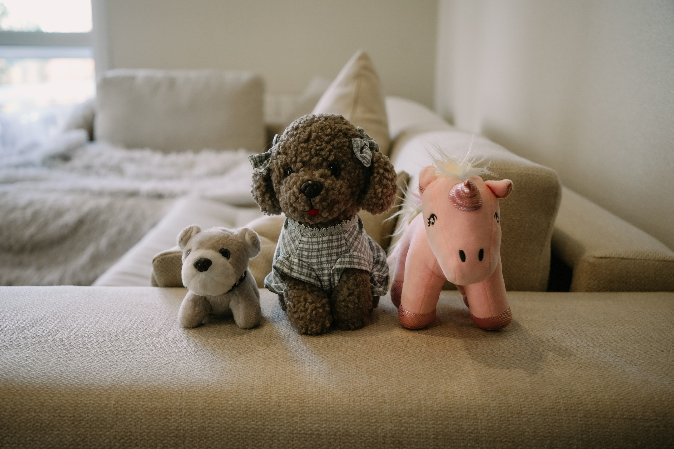 Карина, Андрей, Эмили. Главная