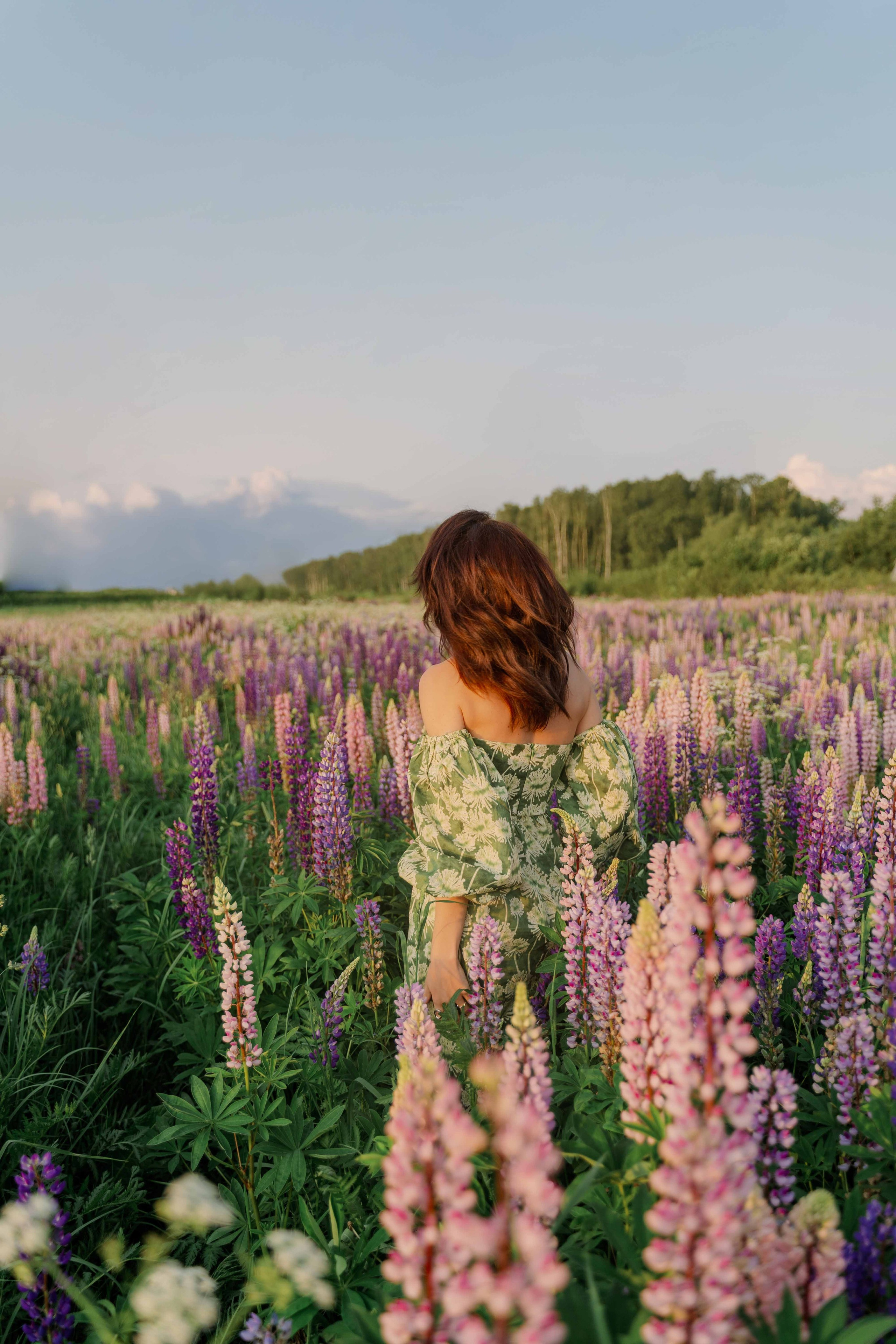 Наташа и люпины. Фотограф и видеограф в Москве и Абу Даби Мария Кулагина