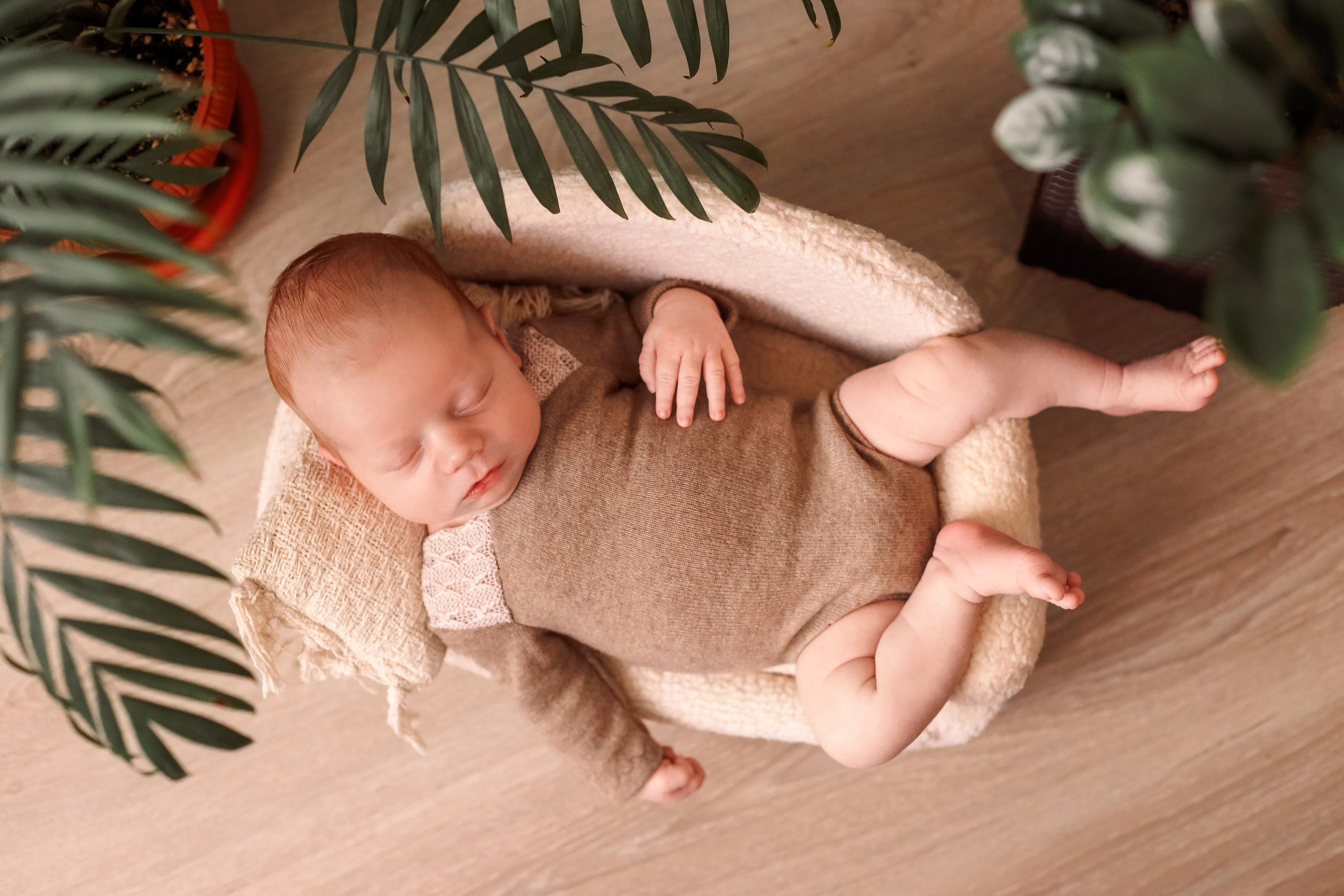 Даниил 17 дней. Семейный фотограф и фотограф новорожденных в Санкт-Петербурге Алина Фе