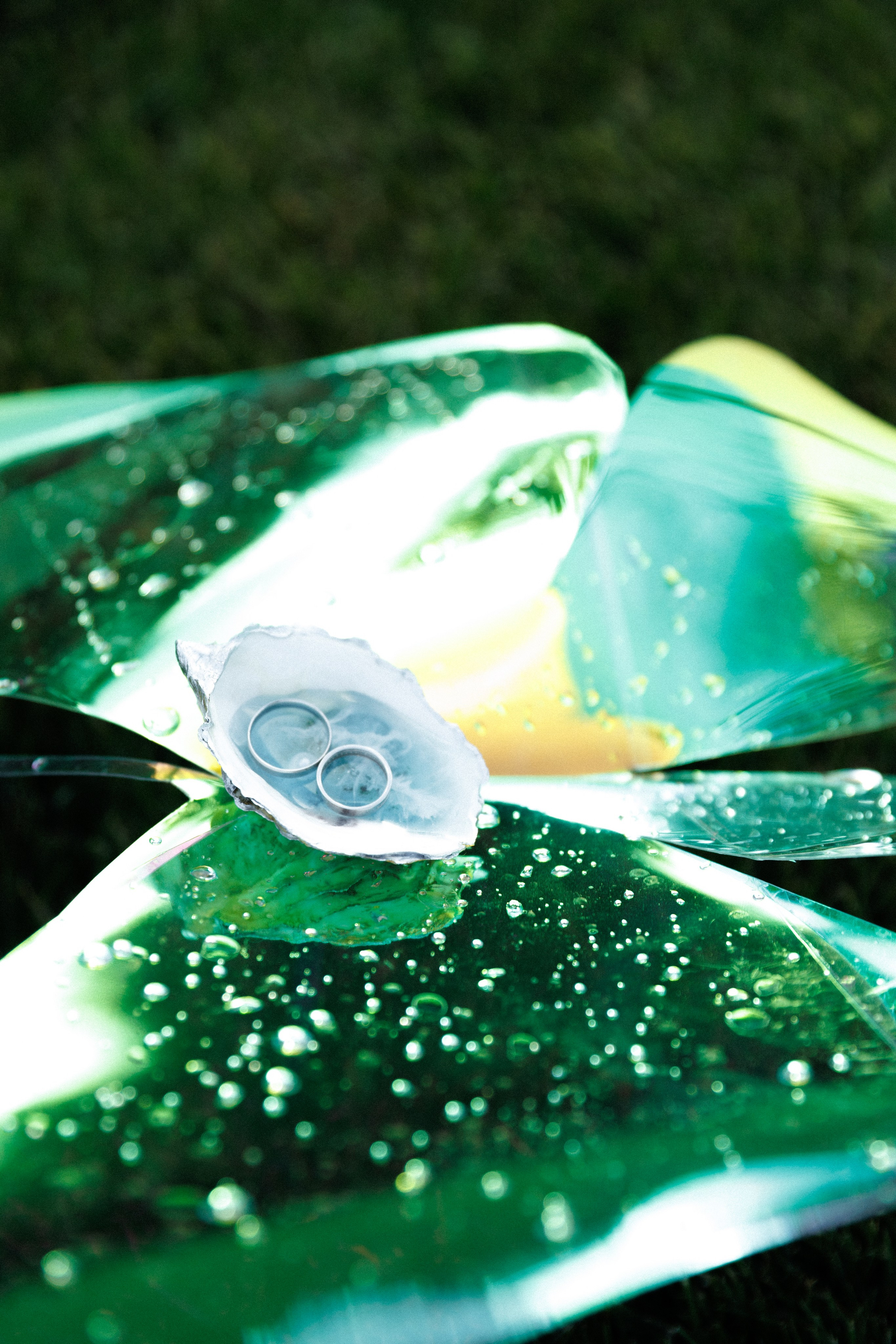 Сказка в июне. Свадьба Андрея и Инессы. Свадебный фотограф Бакрымова Валентина