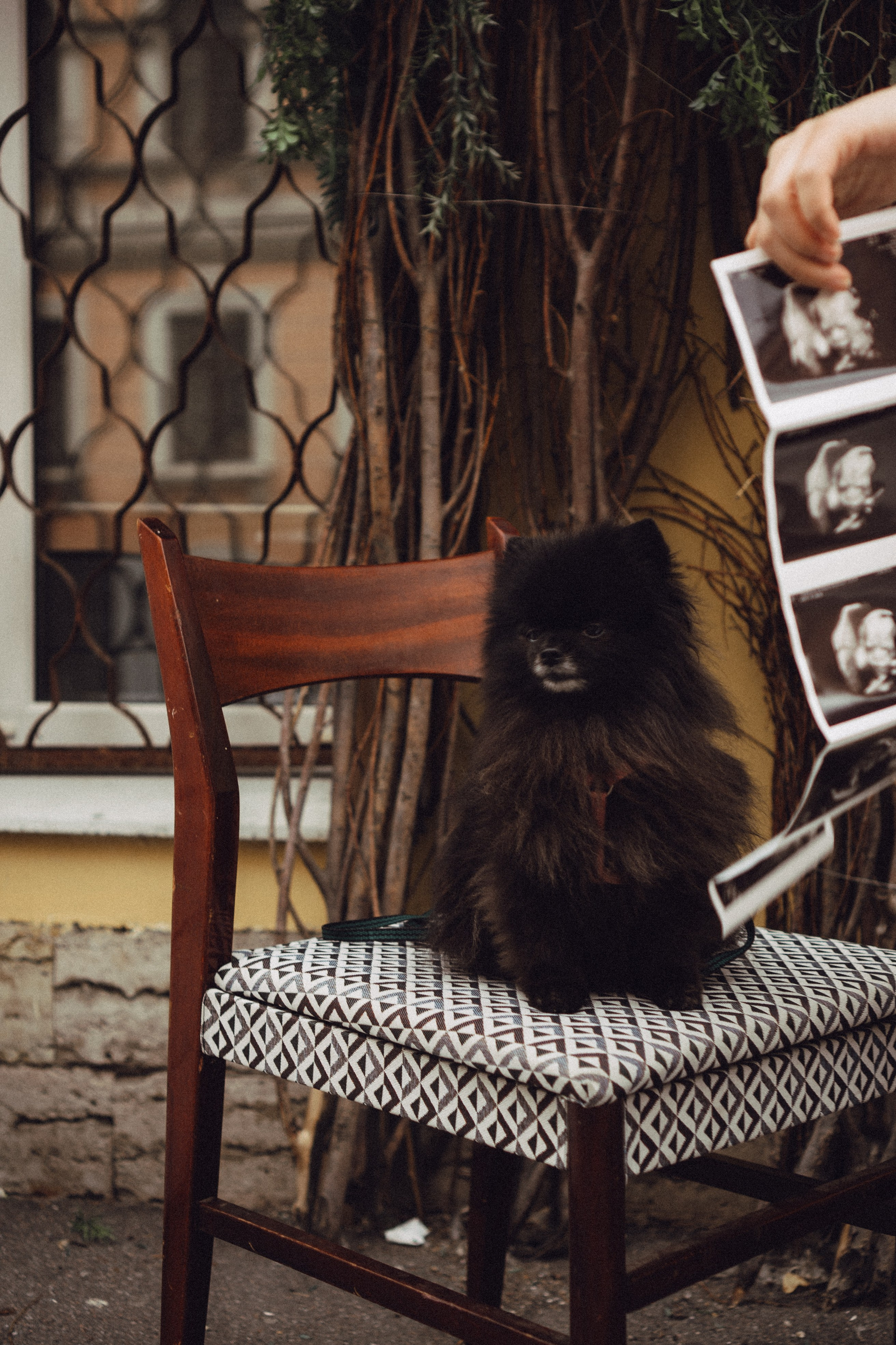 Беременность (только часть фото по желанию клиентов могу показать)). Профессиональный фотограф, Санкт-Петербург — Виктория Богомолова