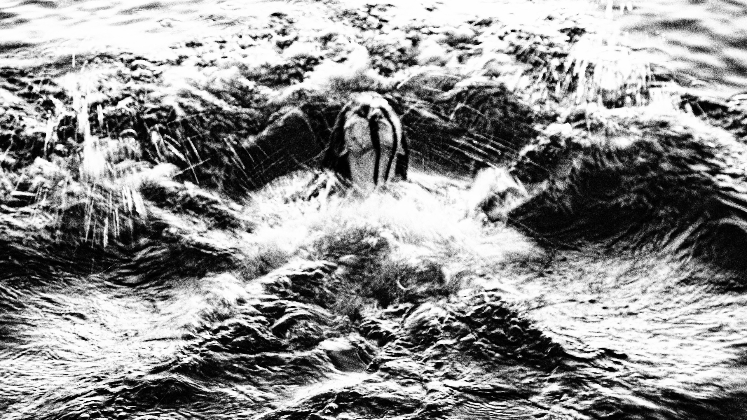 Даниэлла. Черно-белый фотограф Дмитрий Пчелкин