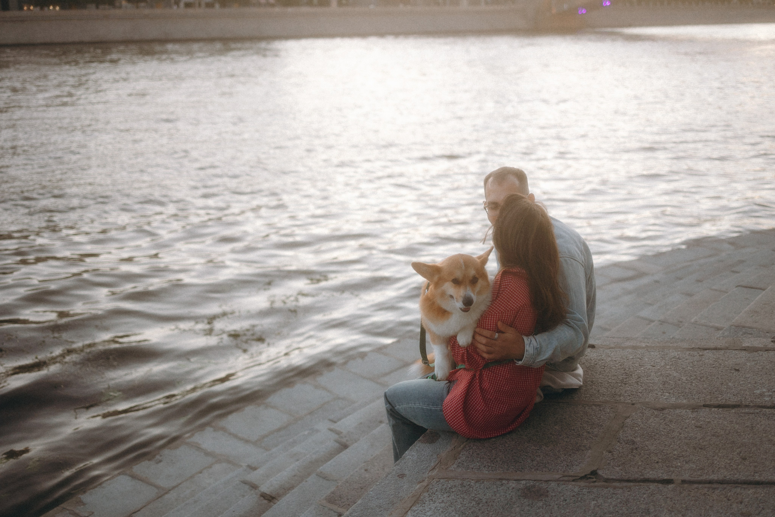 Момо, Люда и Эд. Фотограф анималист Анастасия Пикей