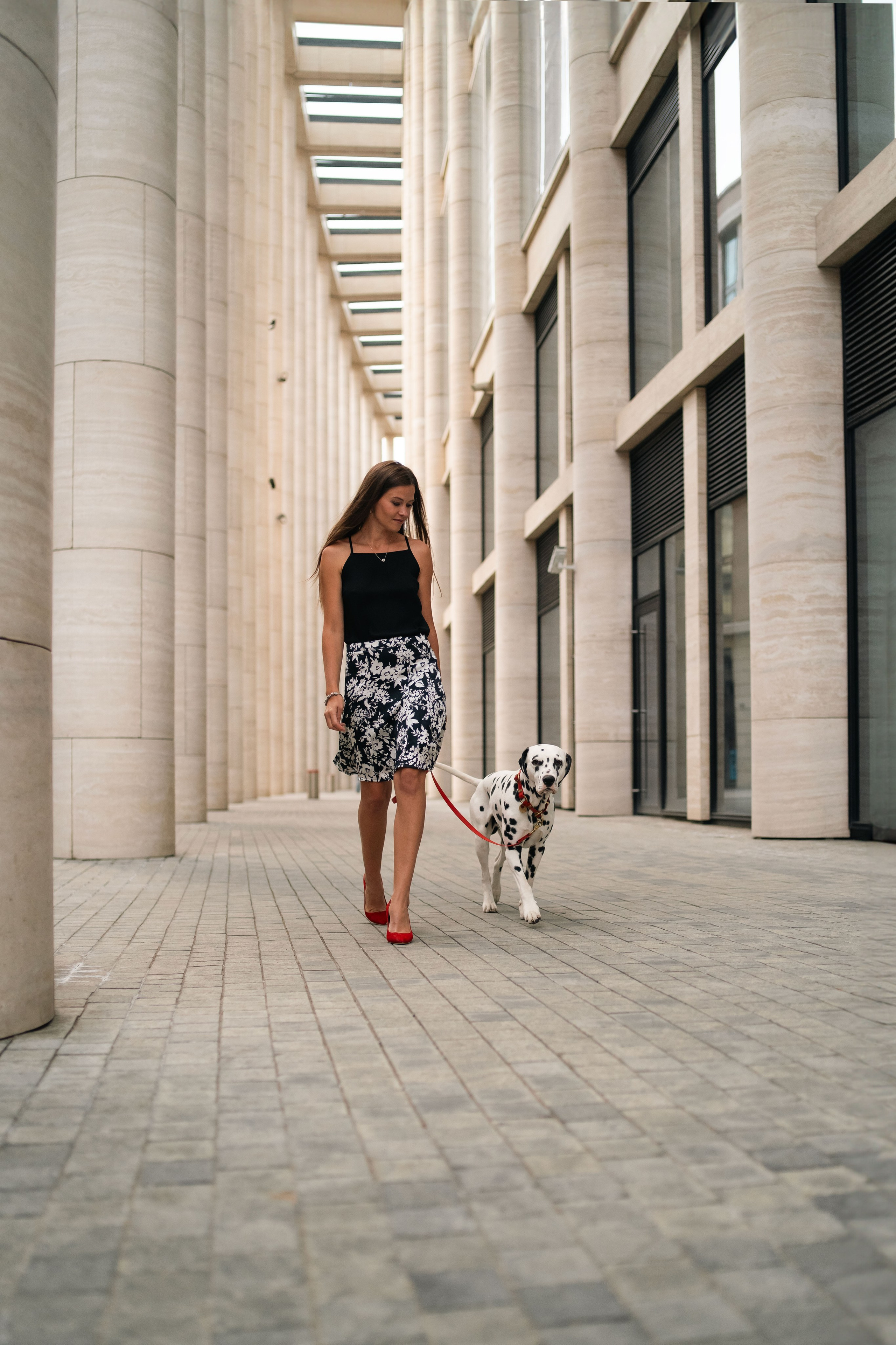 1 Далматин. Фотограф анималист