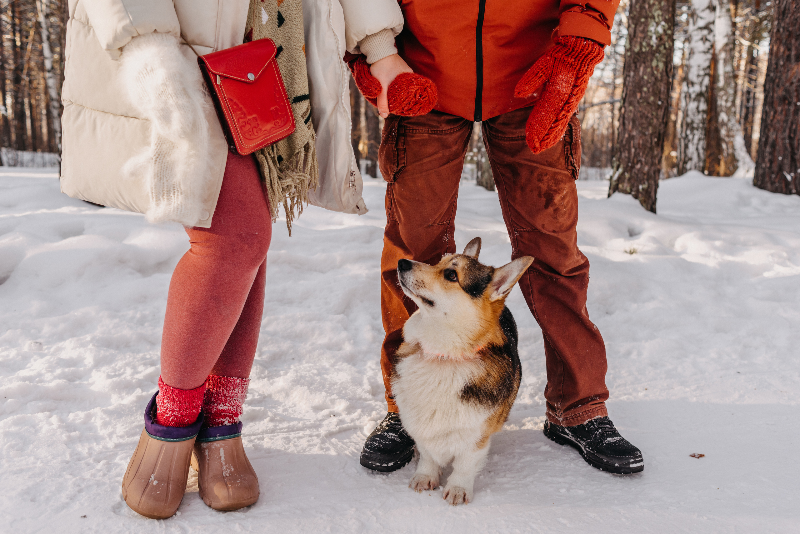 Андрей, Алиса и Шерлок. Семейный и женский фотограф в Новосибирске