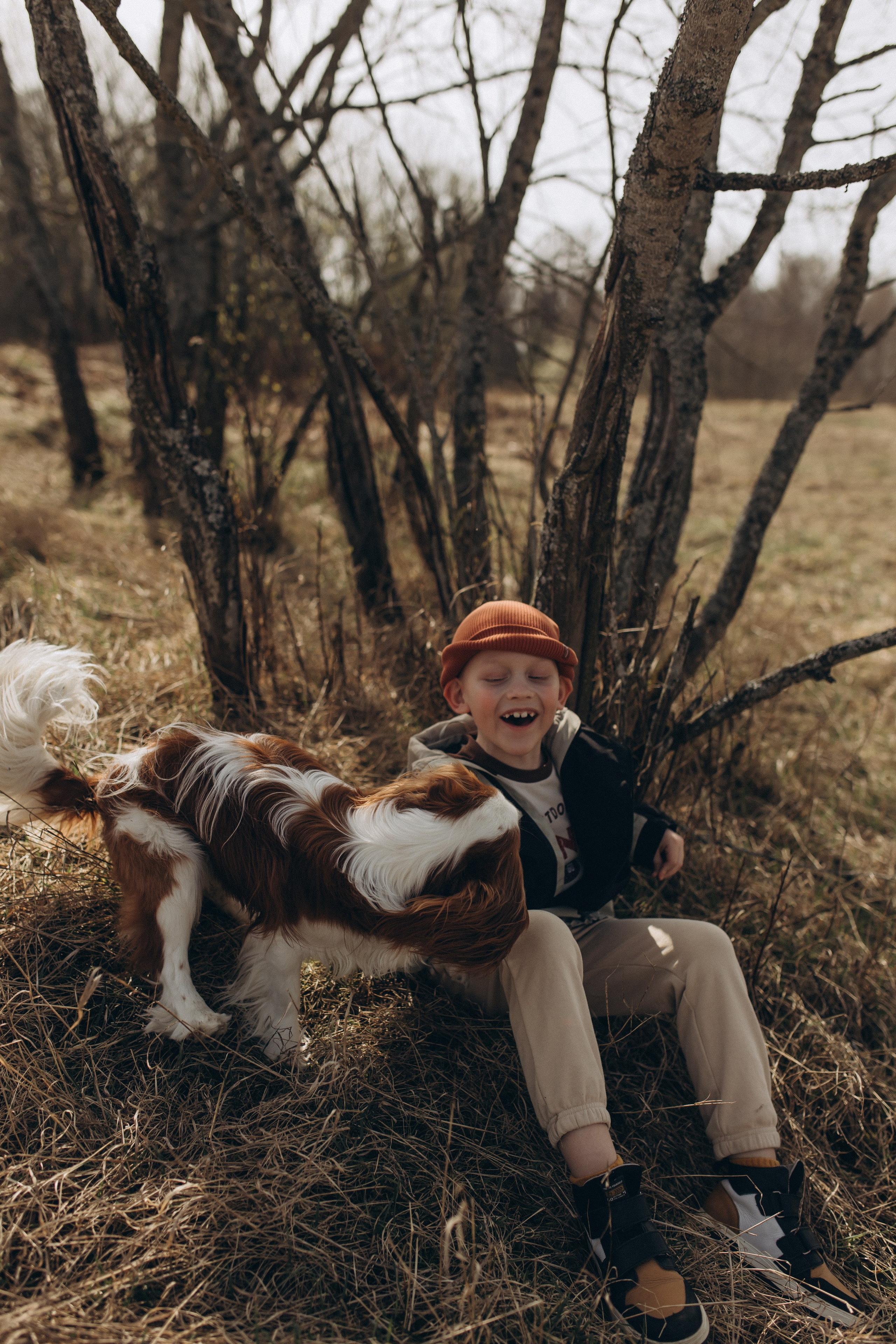 Николай, Елена, Тимофей и Арчи. Услуги