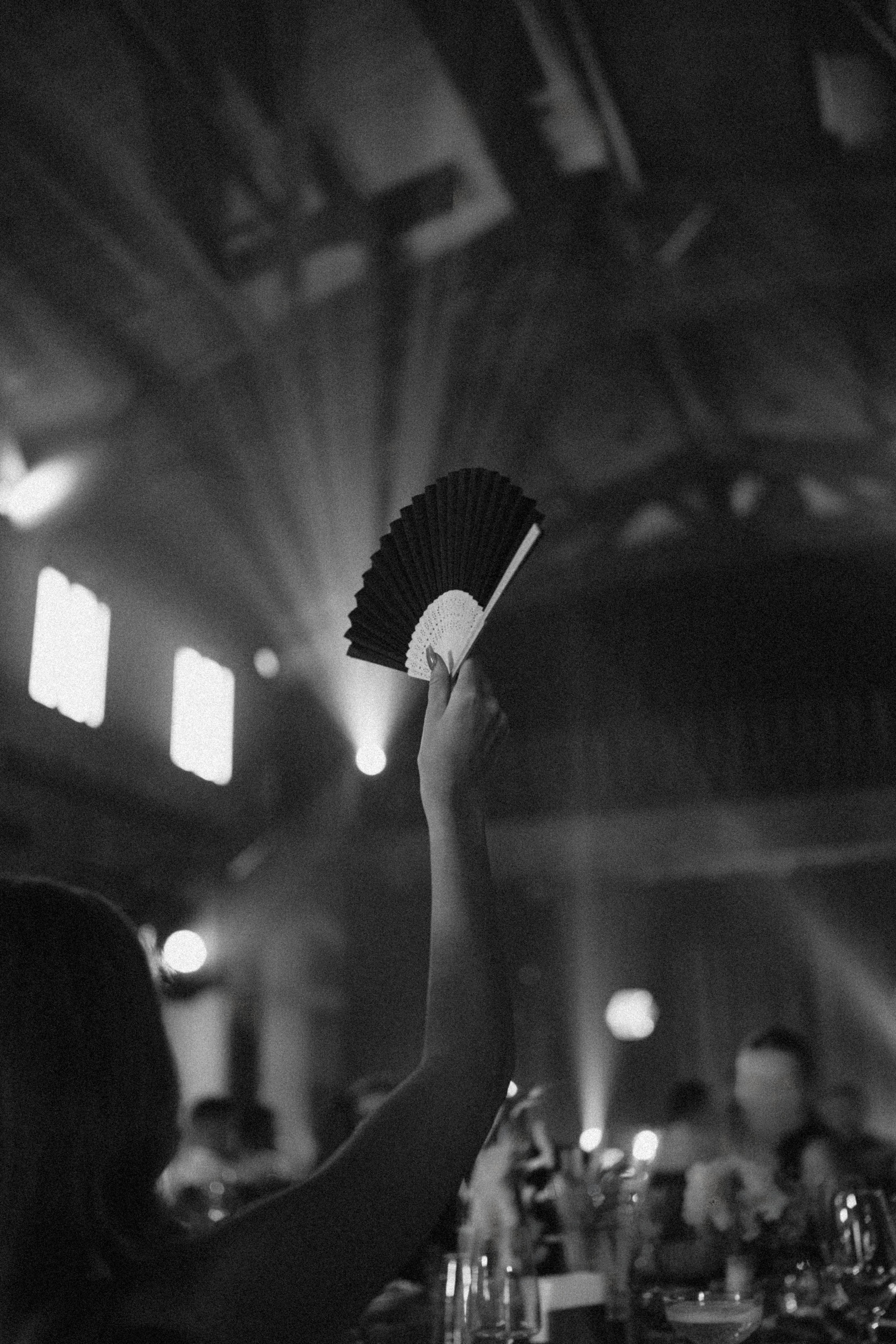 Котики. Свадебный фотограф Наташа Алешина