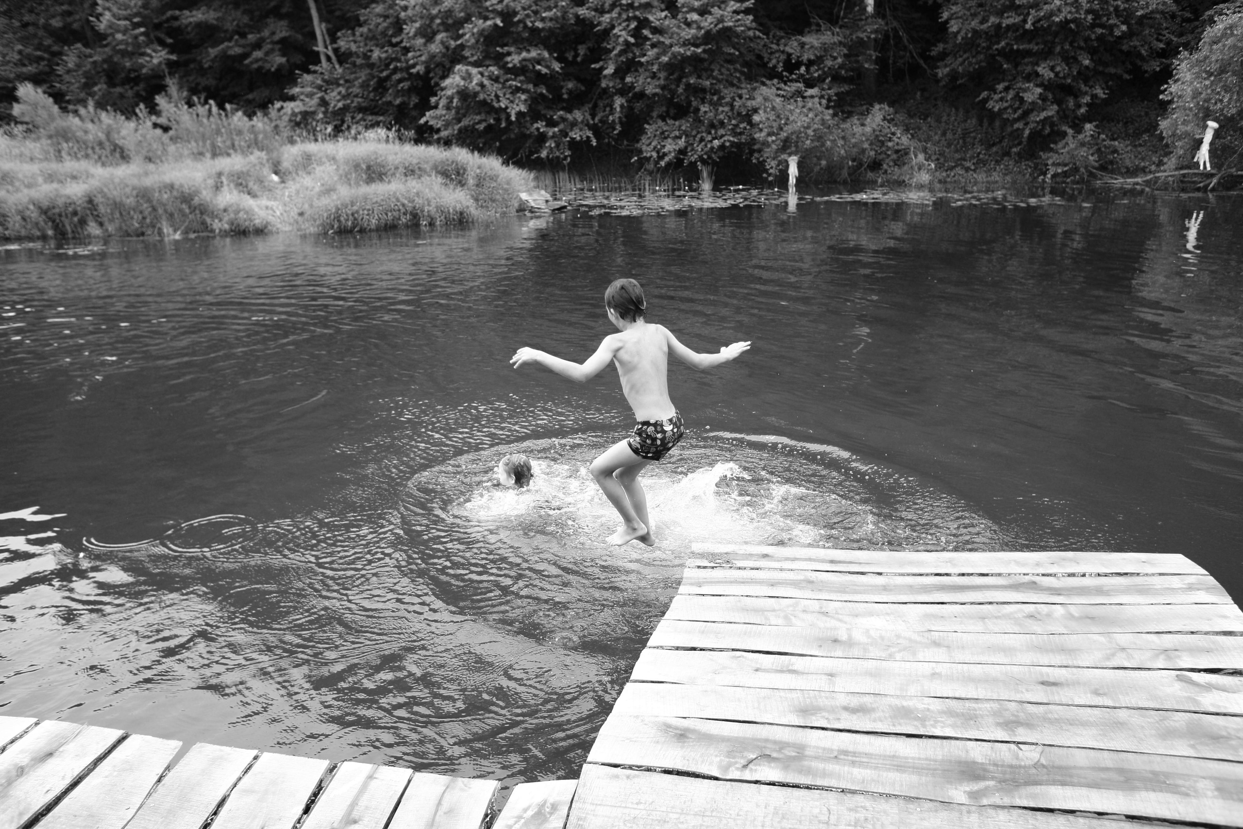 Фестиваль Бессонница