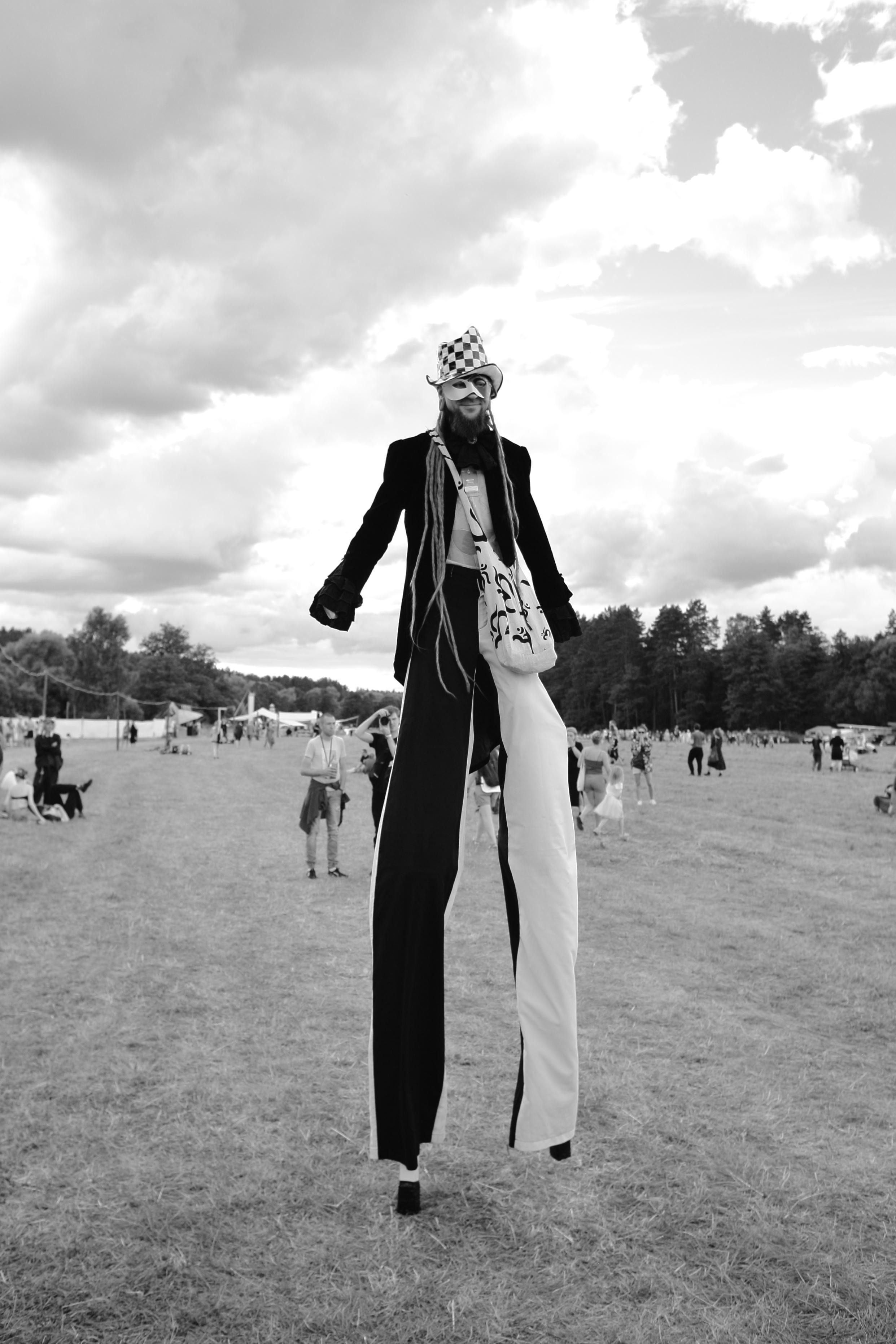 Фестиваль Бессонница