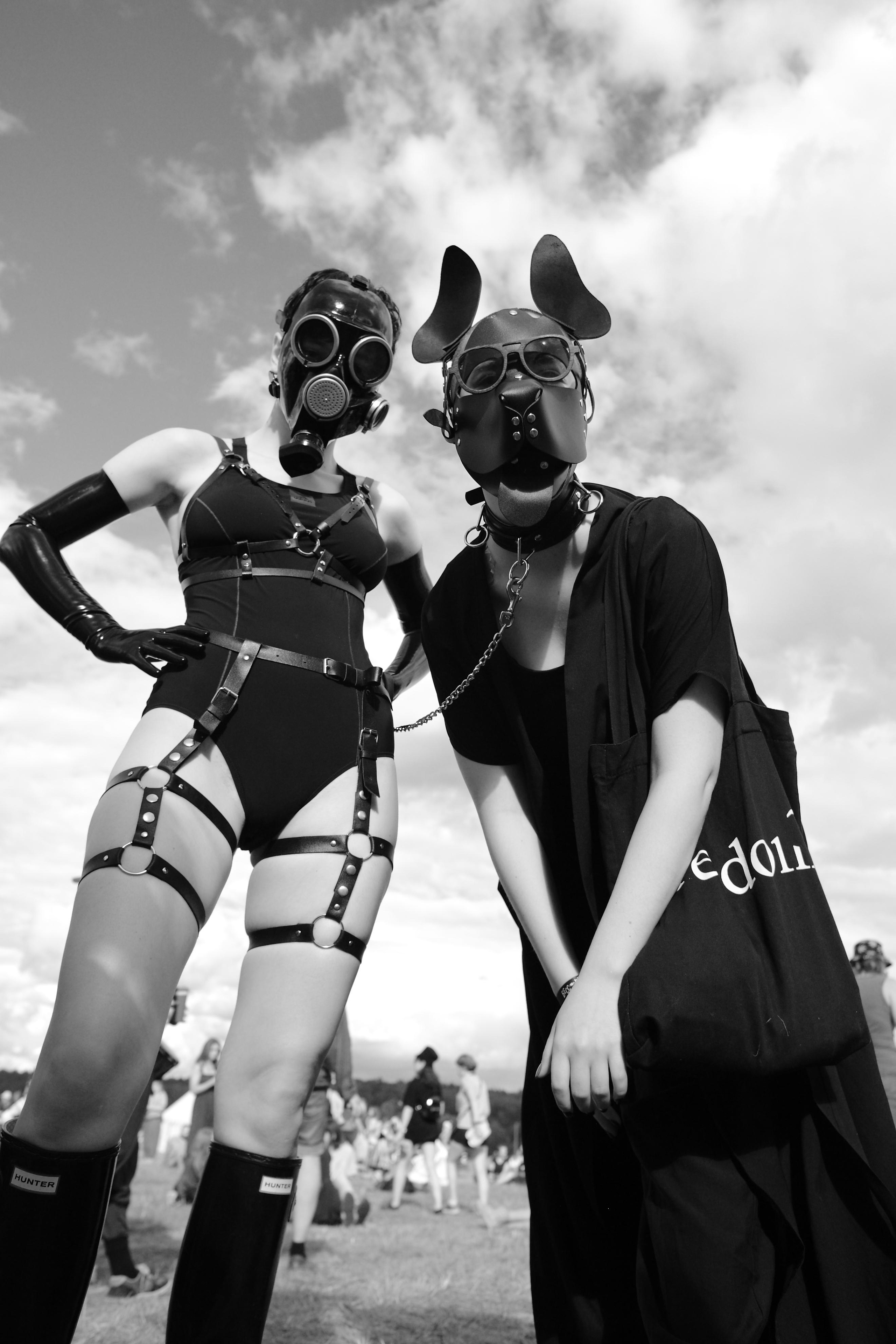 Фестиваль Бессонница