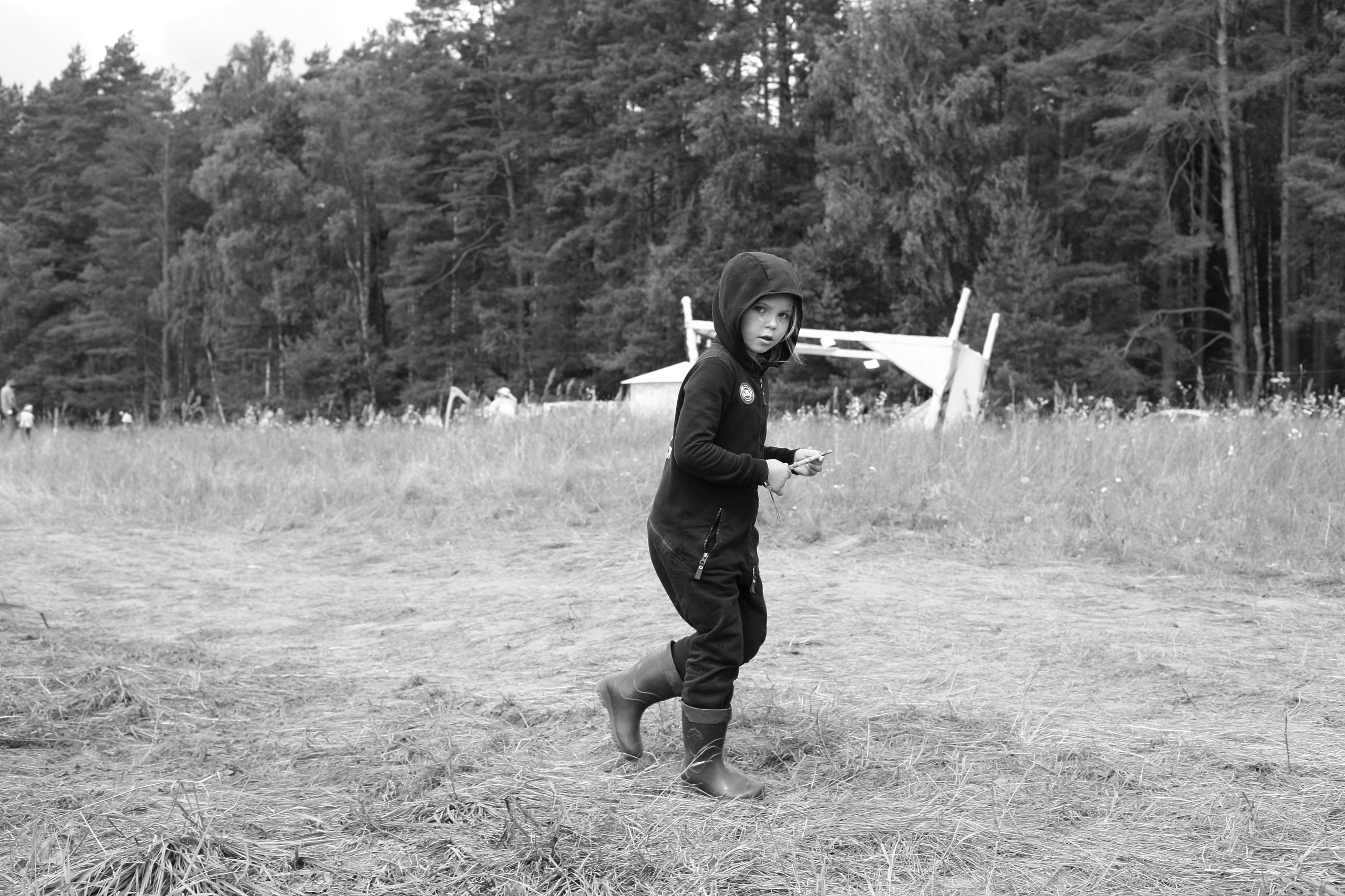 Фестиваль Бессонница