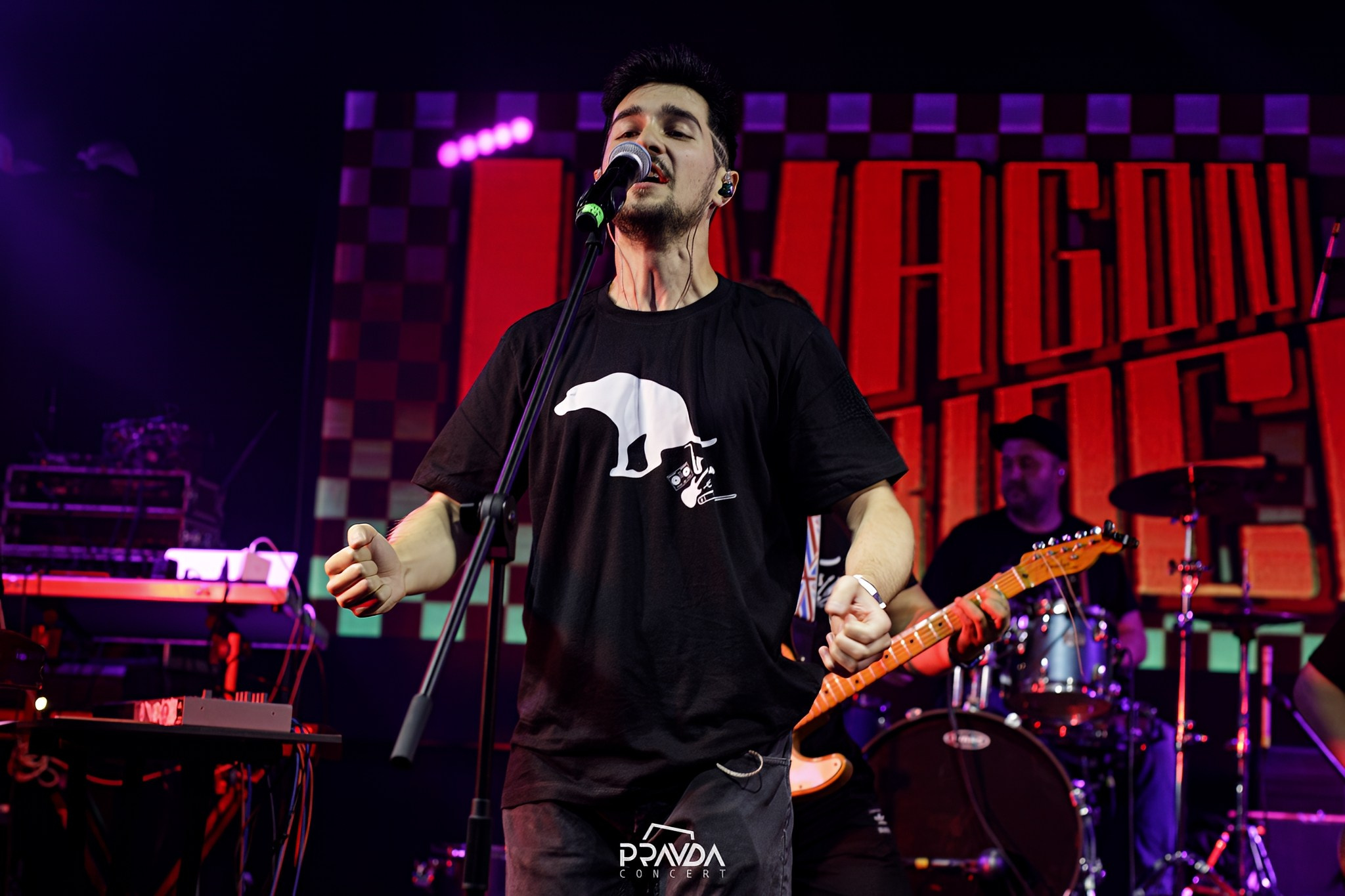 Концертная сьемка. Репортажный фотограф