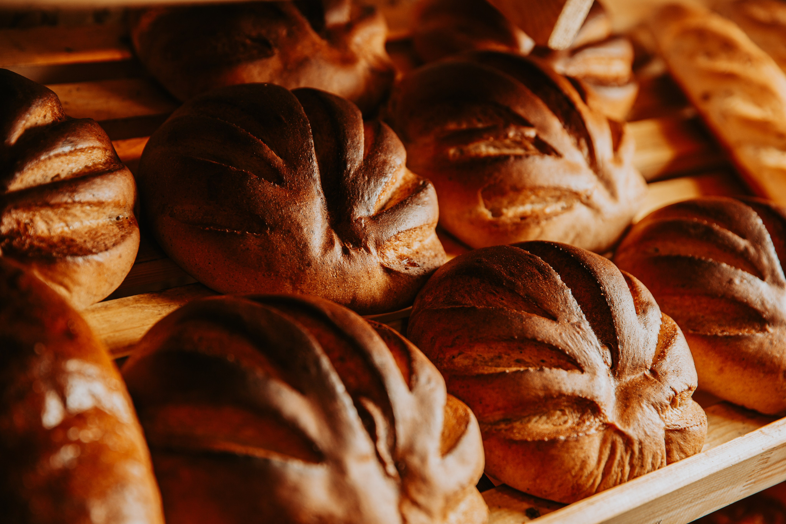 Пекарня Семейная. Свадебный и репортажный фотограф в Ярославле Евгений Шовдин