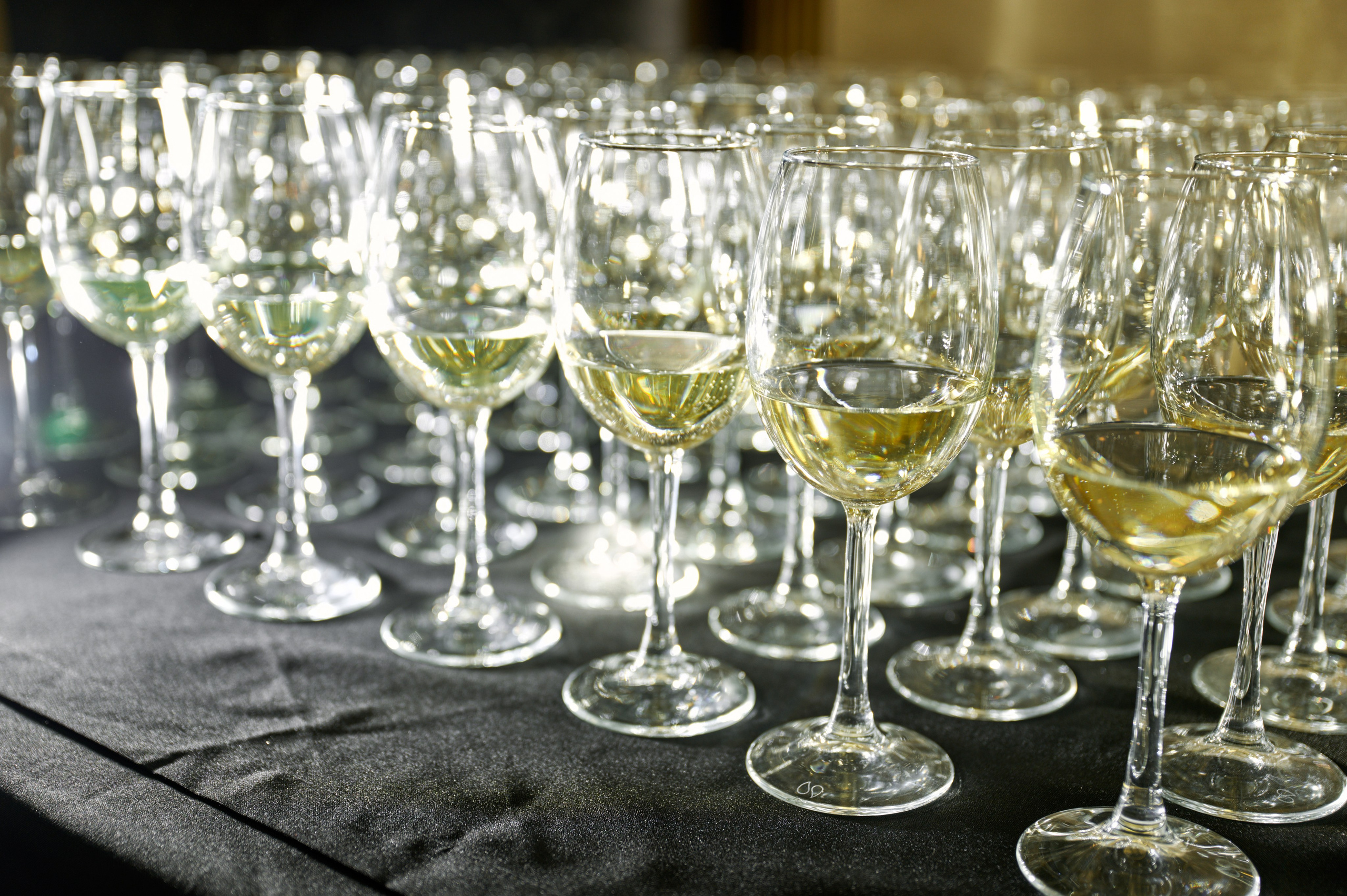 Репортаж свадебной выставки-презентации SmolinoPark 2024. Фотограф Челябинск — Кирилл Устюжанин