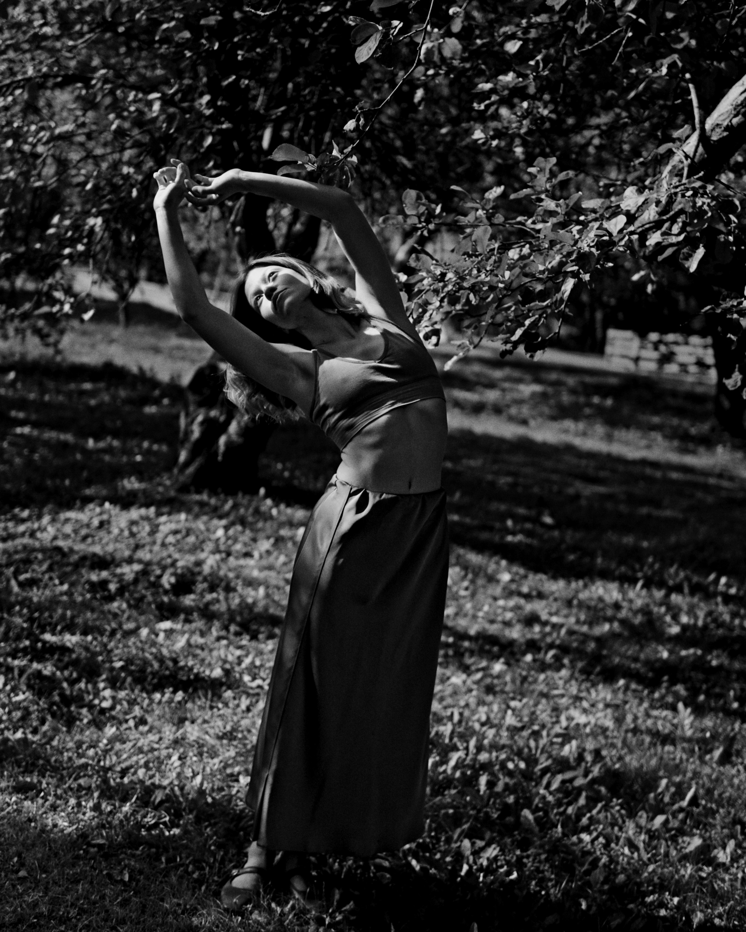 Dancing in the shade of trees