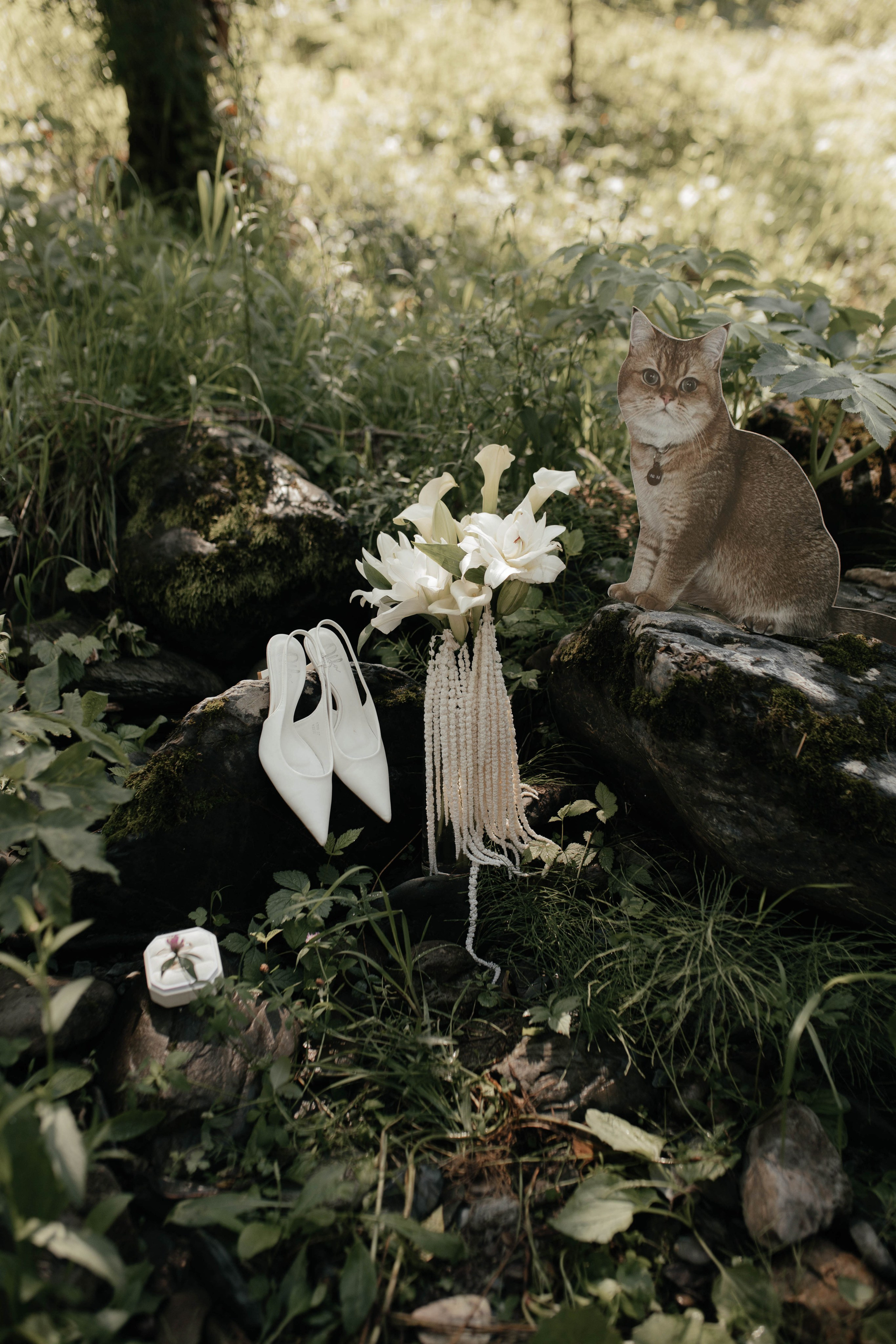 Свадьба в Горном Алтае. Свадебный организатор Марина Корсакова, Барнаул, Бийск, Алтайский край, Горный Алтай, Новосибирск