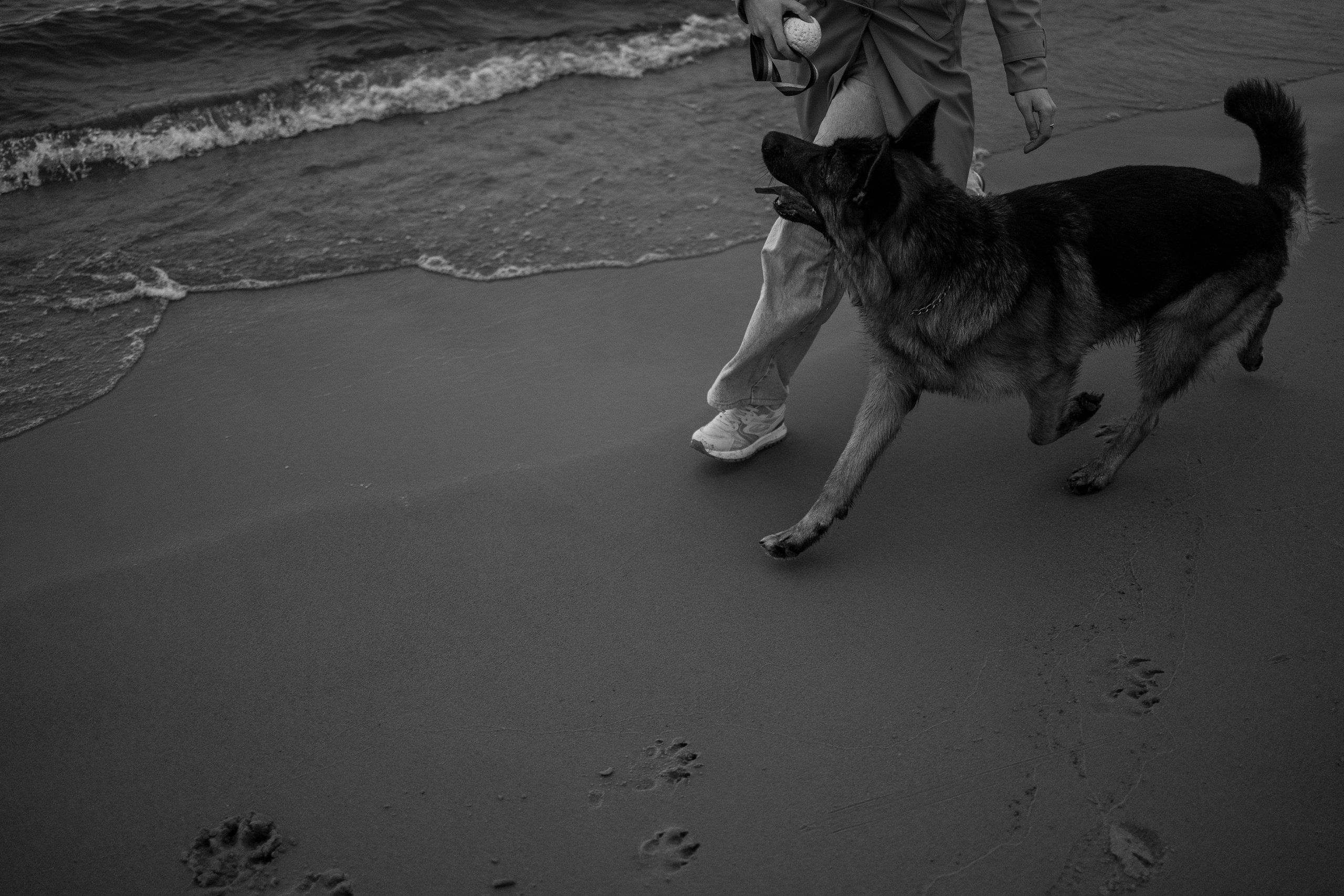 Катя и Агат. Фотограф — Анималист | Санкт-Петербург