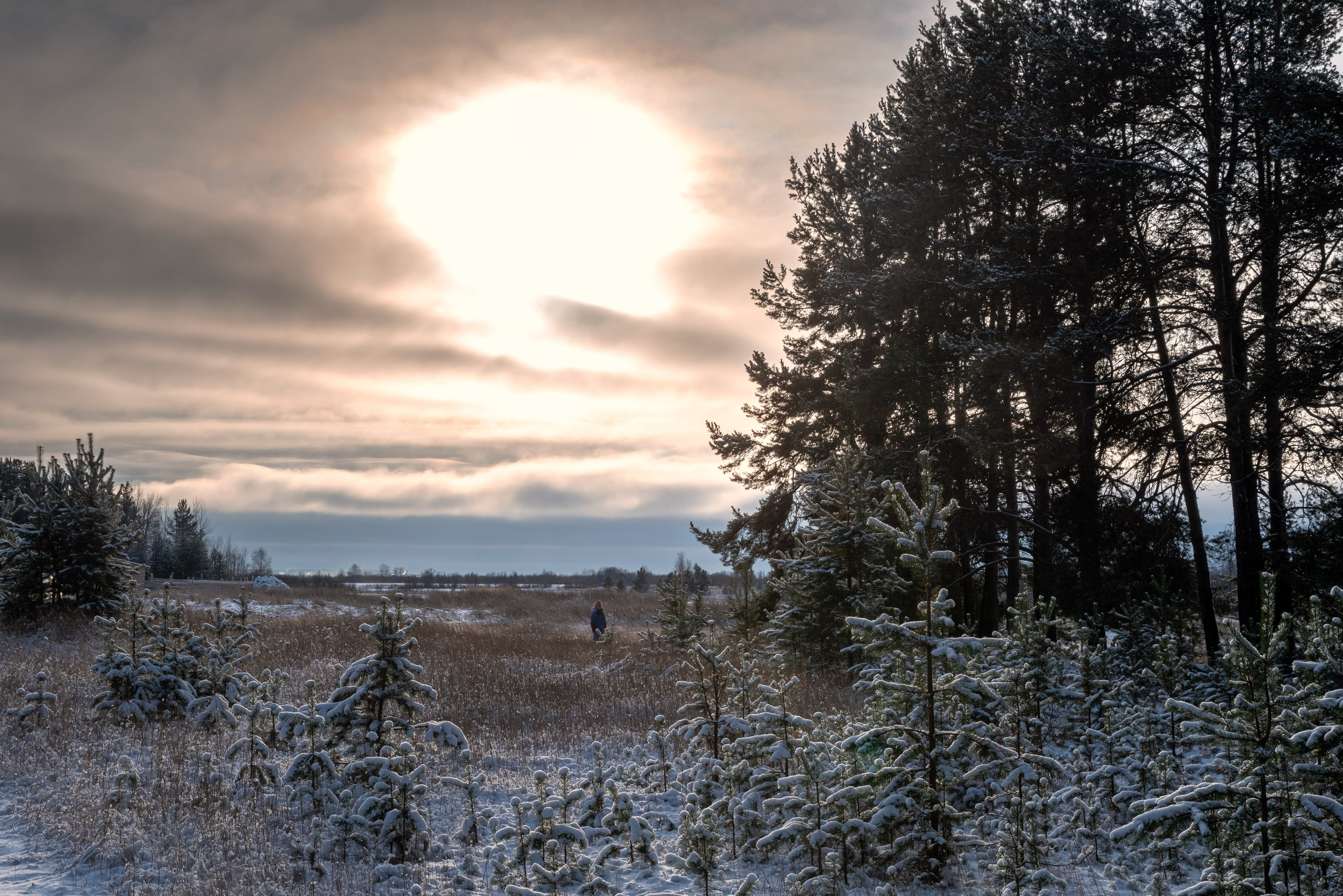 Разное. Фотограф в с. Ижма Республика Коми Терентьев Сергей