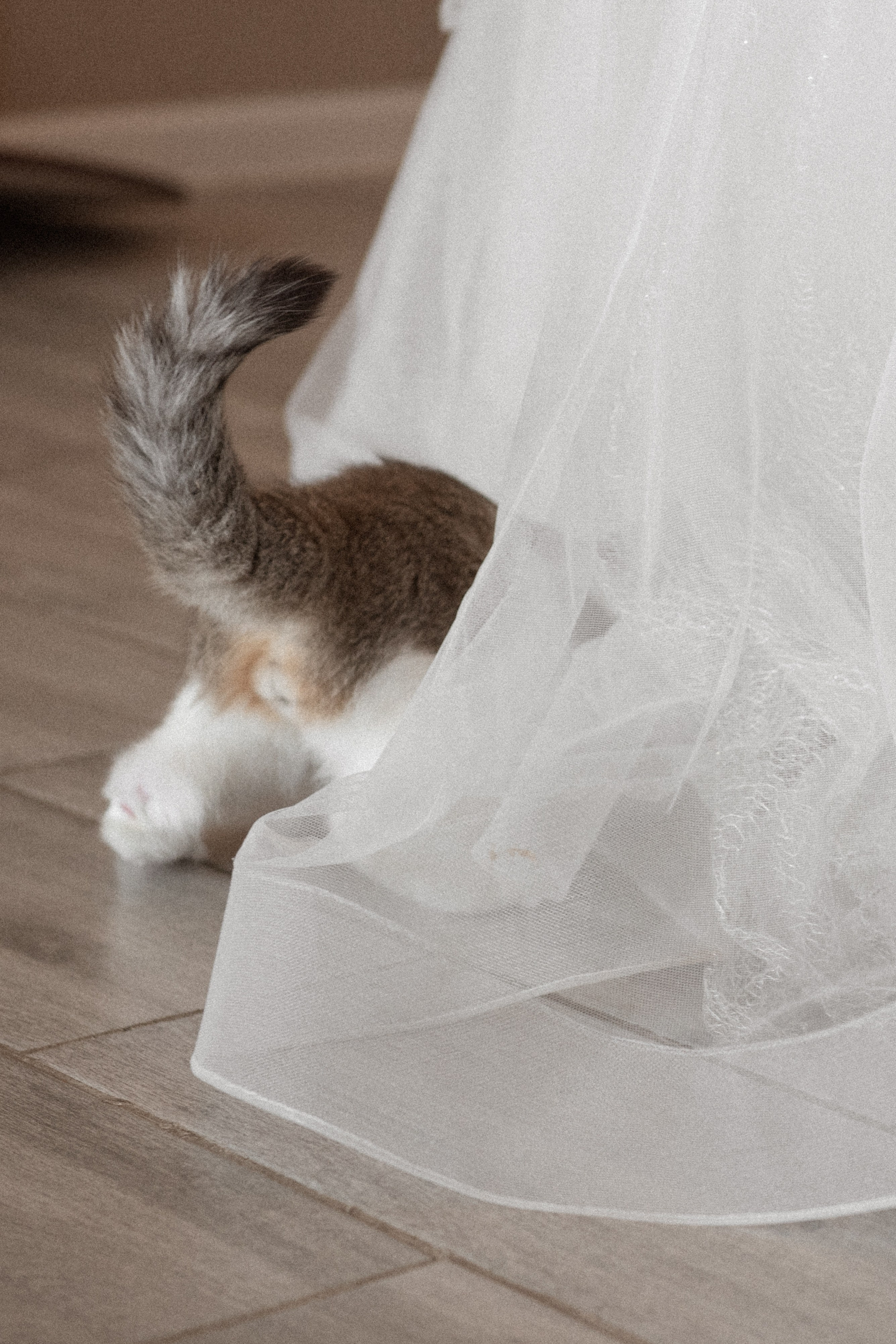 Илья и Ксения. Свадебный фотограф в Новосибирске. Александра Верхушина